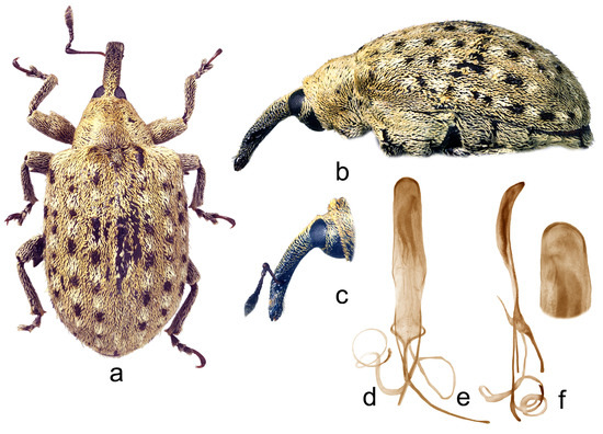 Insects 15 00434 g014