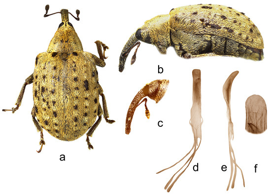 Insects 15 00434 g017