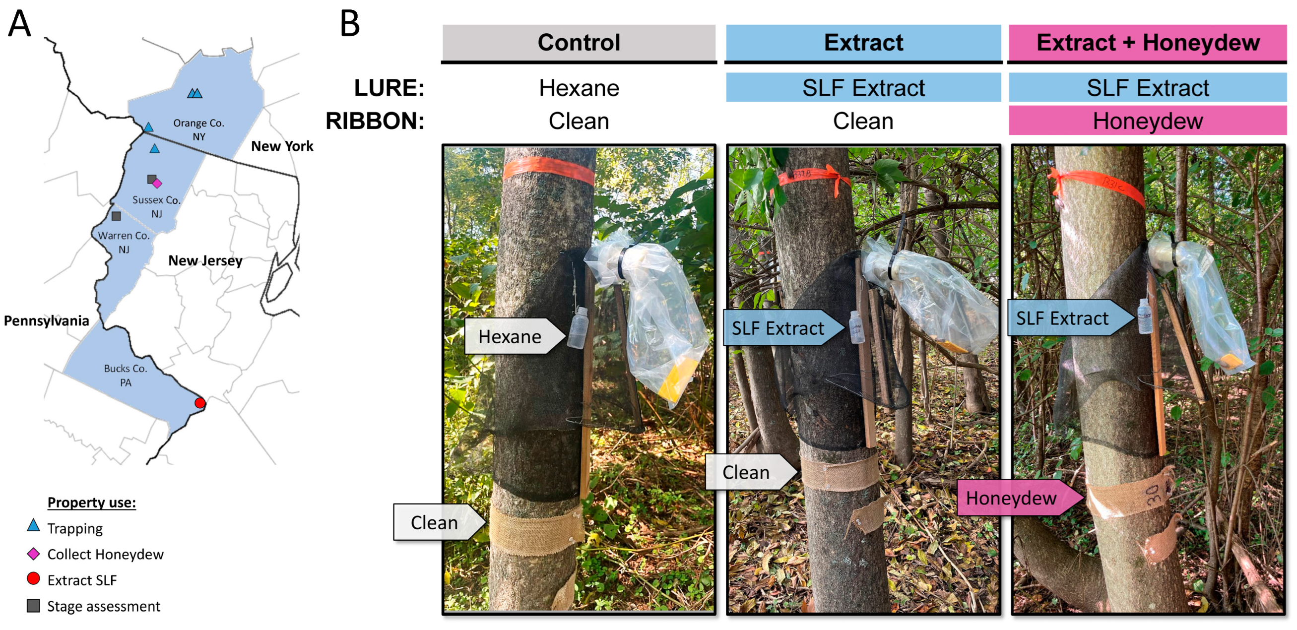 Insects 15 00447 g001