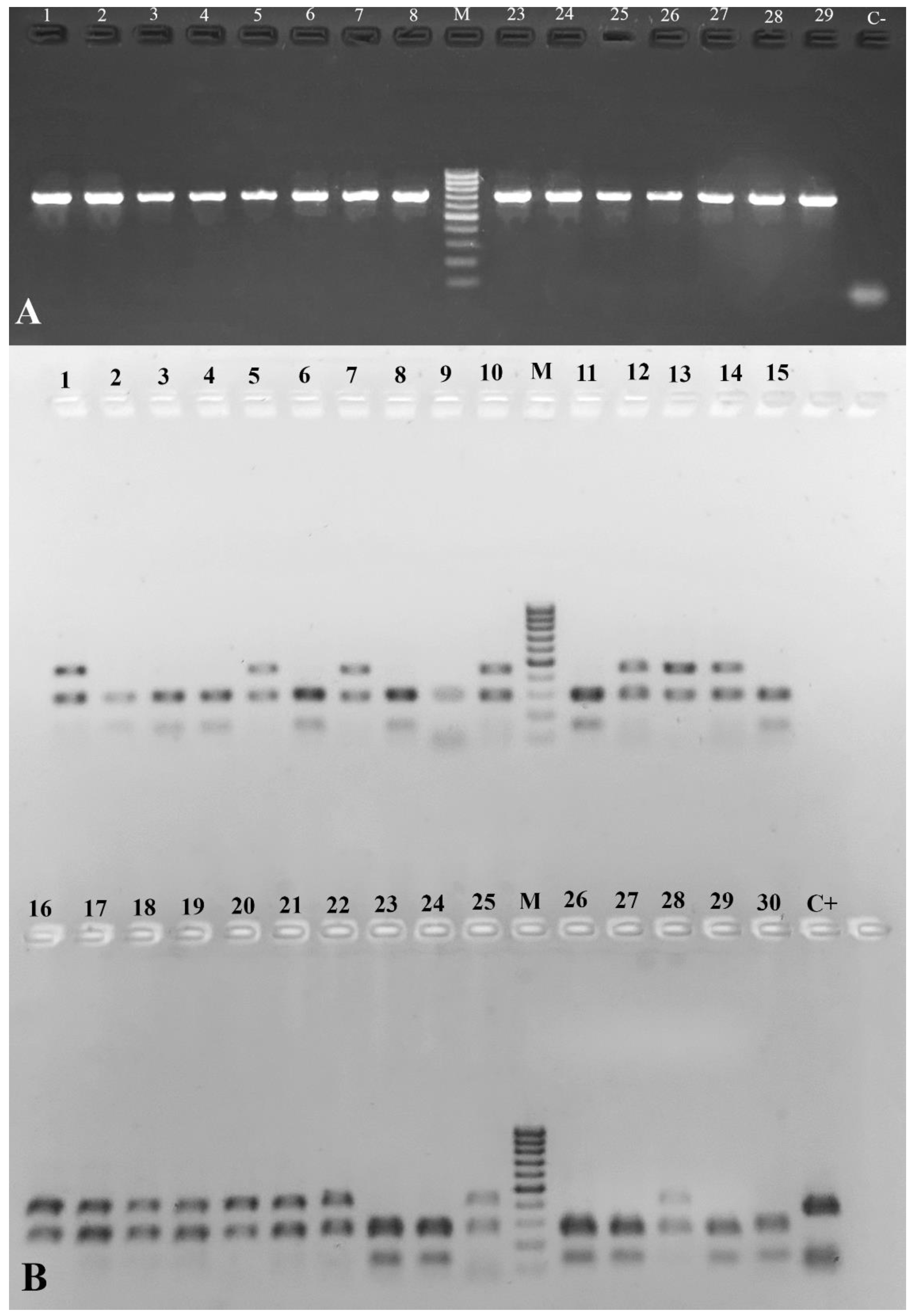 Insects 15 00461 g003