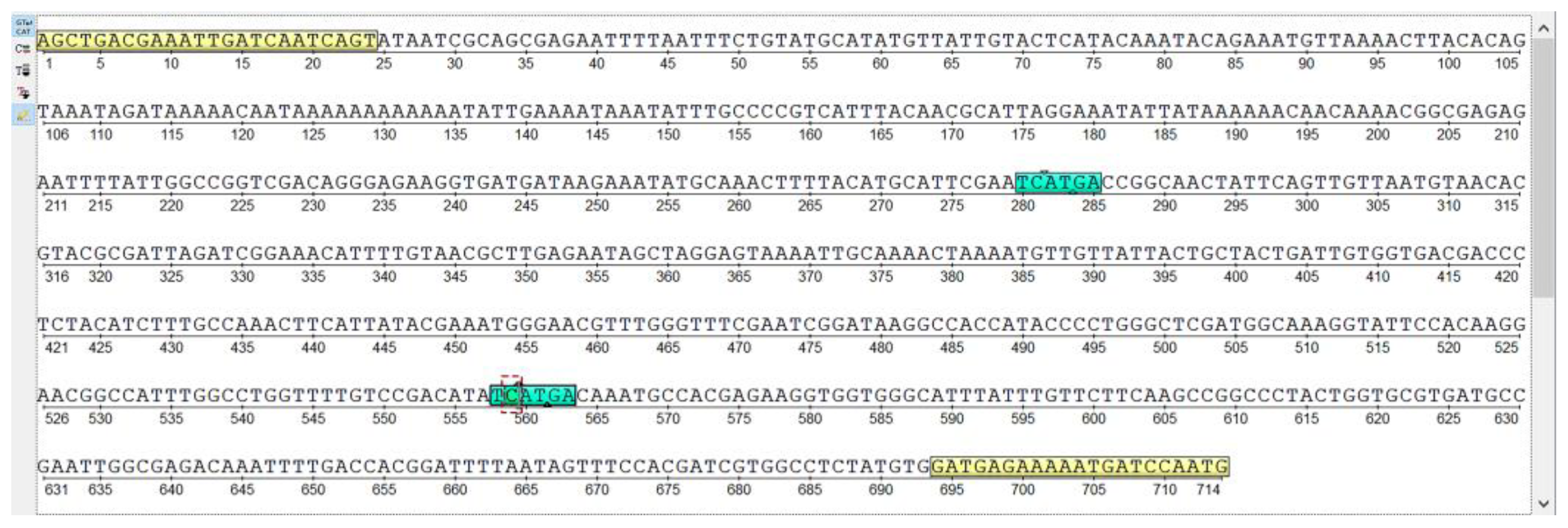 Insects 15 00461 g005