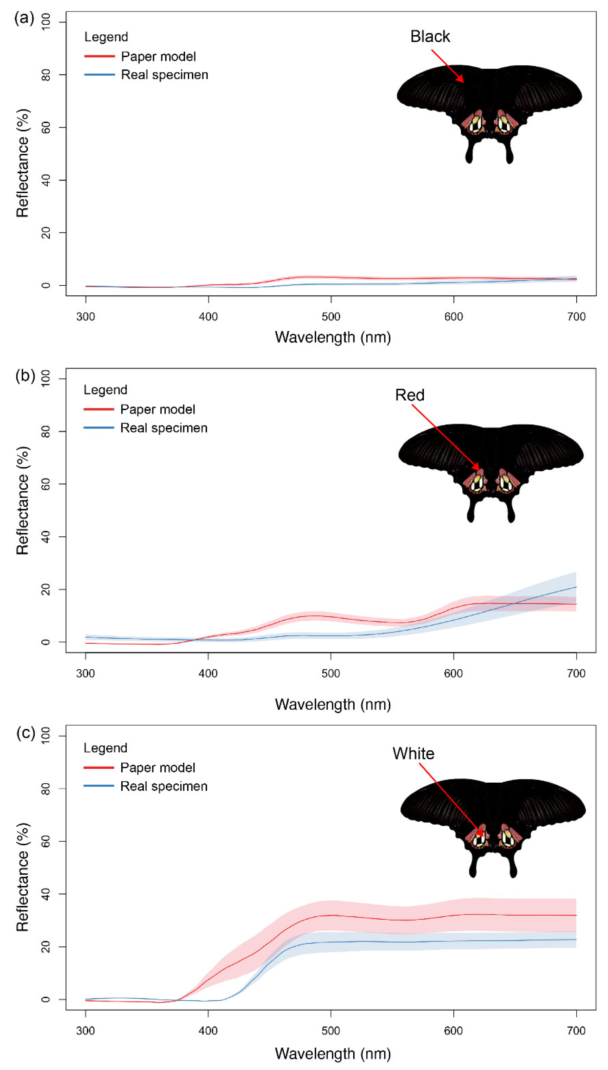 Insects 15 00465 g002