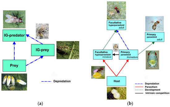 Insects 15 00496 g007
