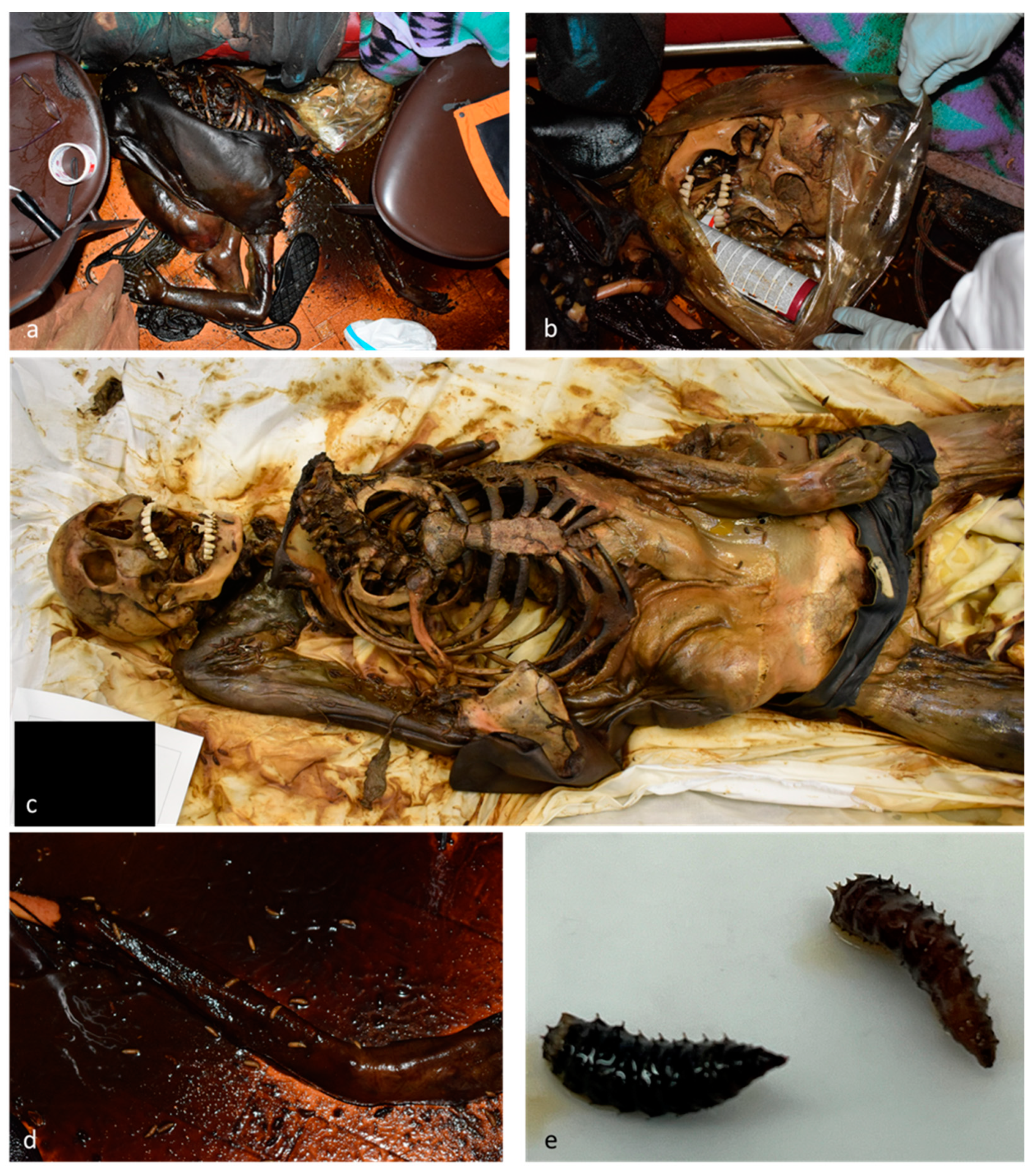 Insects 15 00500 g001 Insects 15 00500 g001