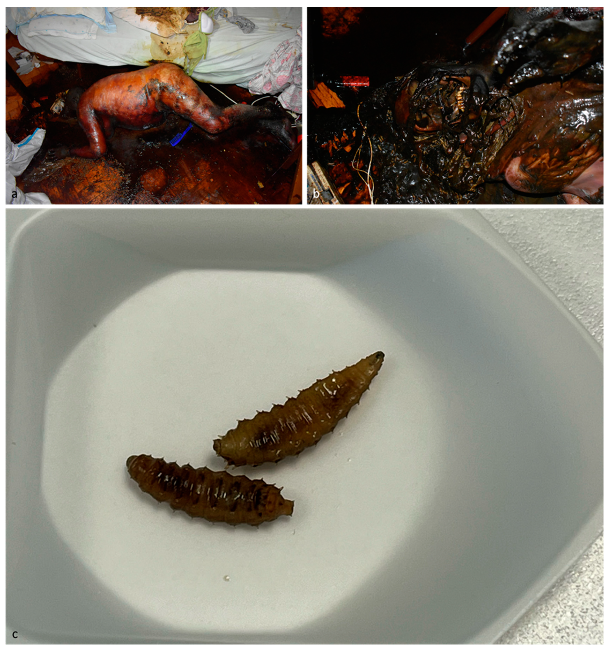 Insects 15 00500 g002 Insects 15 00500 g002
