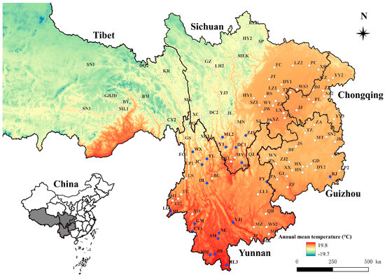 Insects 15 00504 g001
