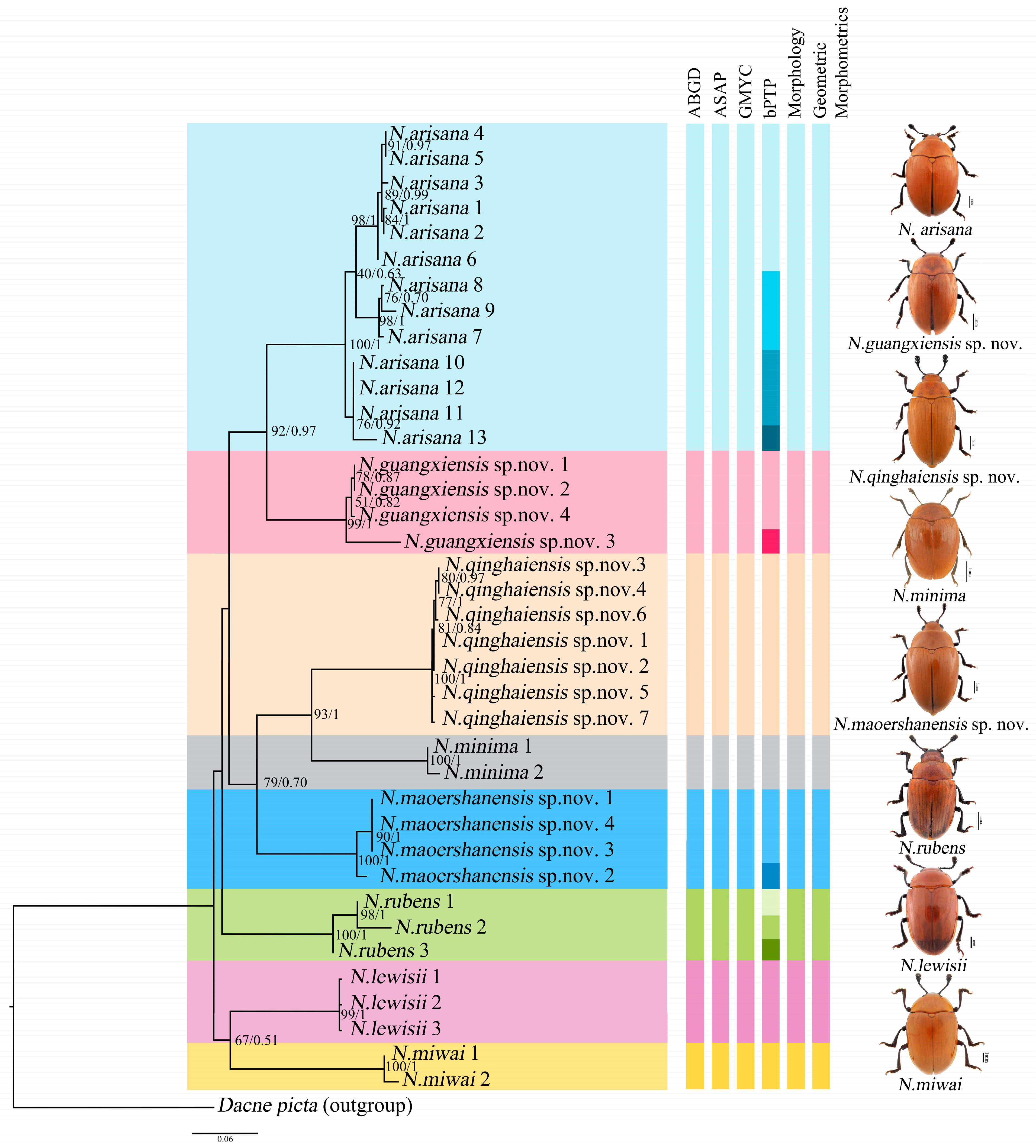 Insects 15 00508 g003
