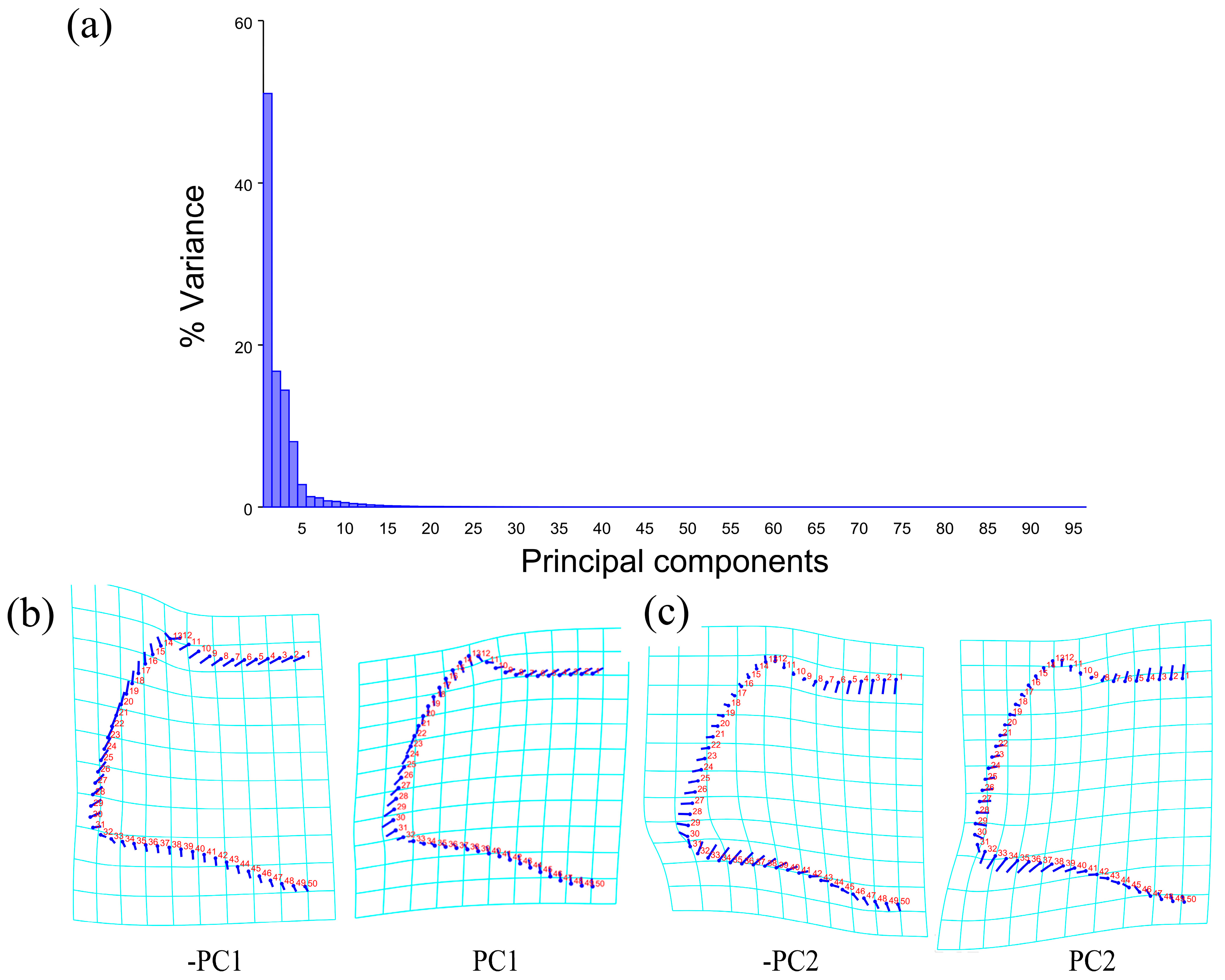 Insects 15 00508 g004