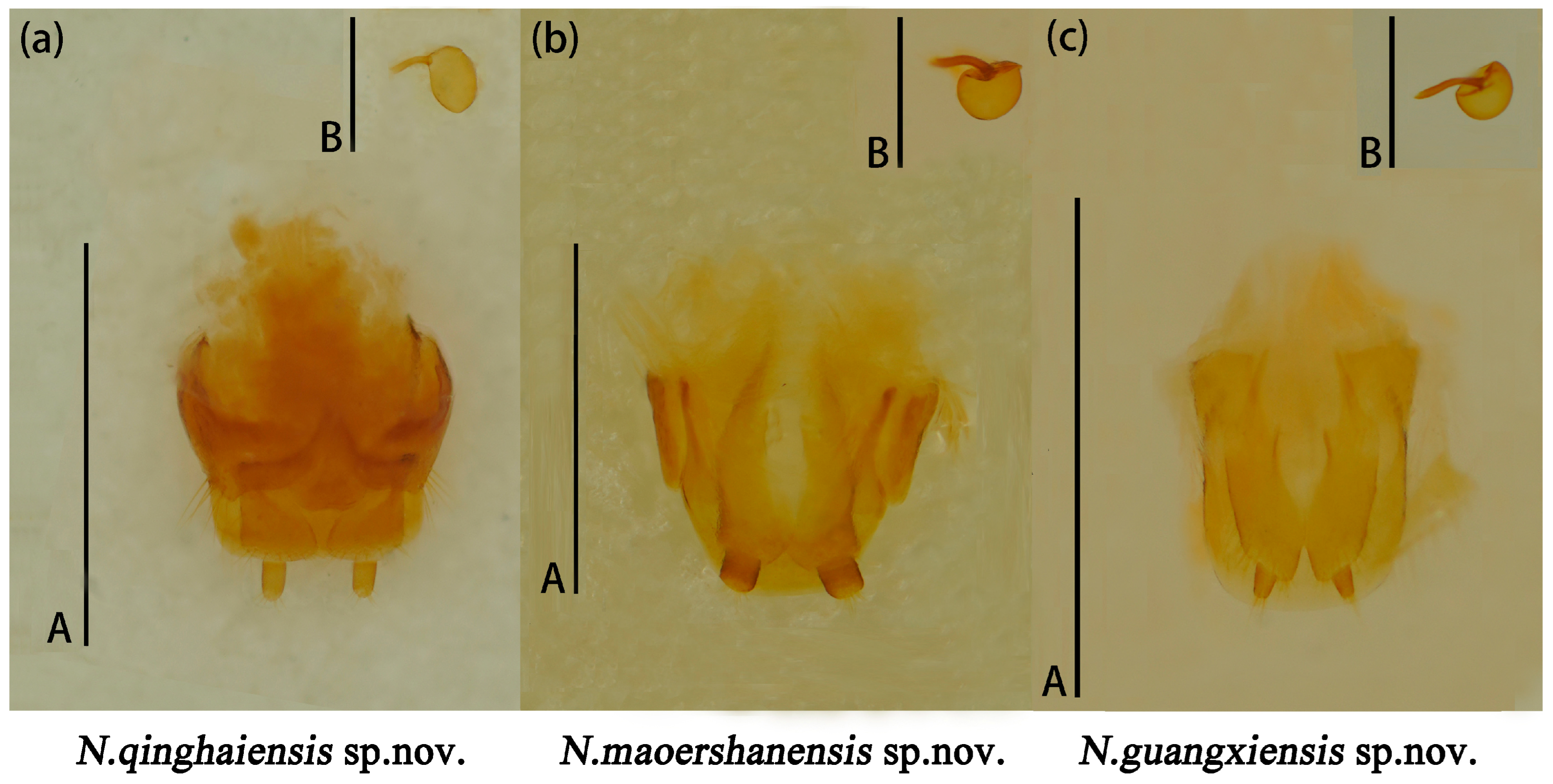 Insects 15 00508 g014
