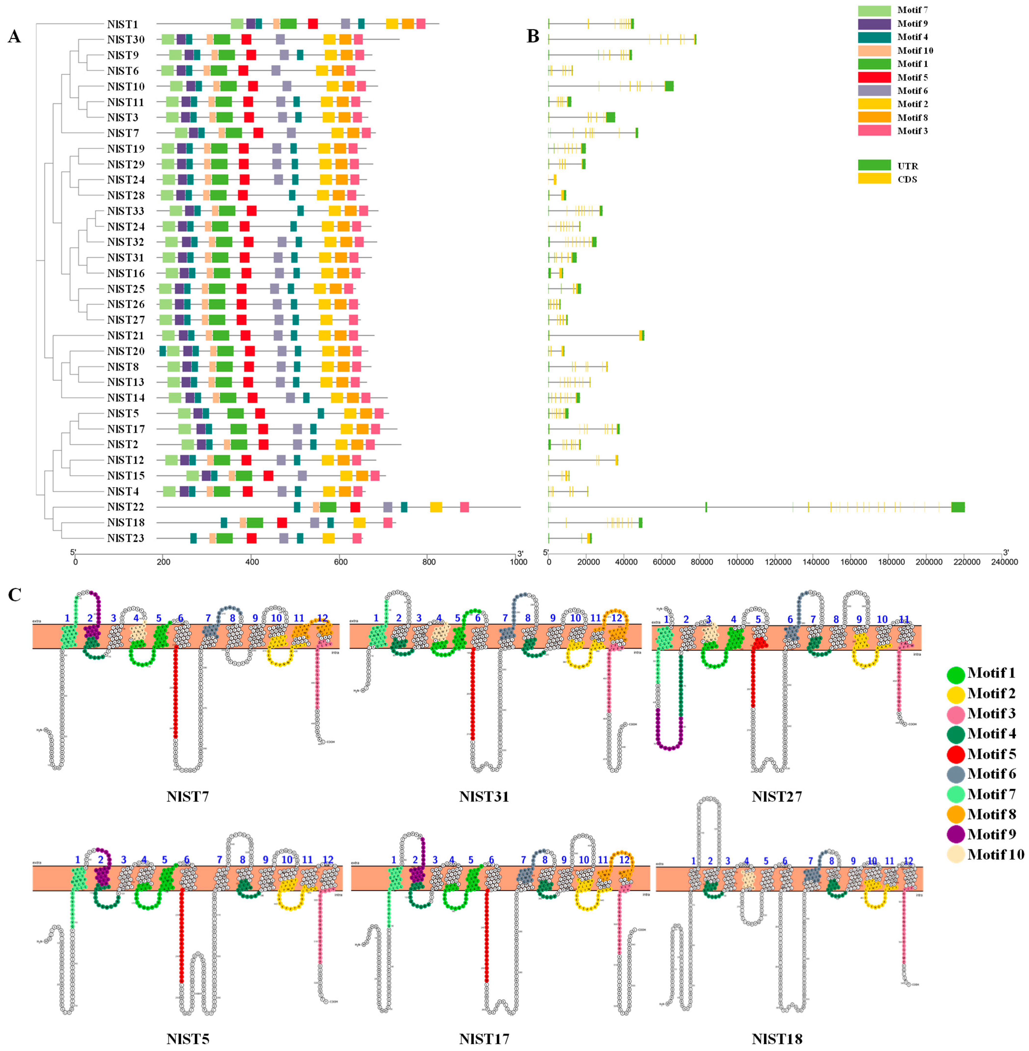 Insects 15 00509 g001