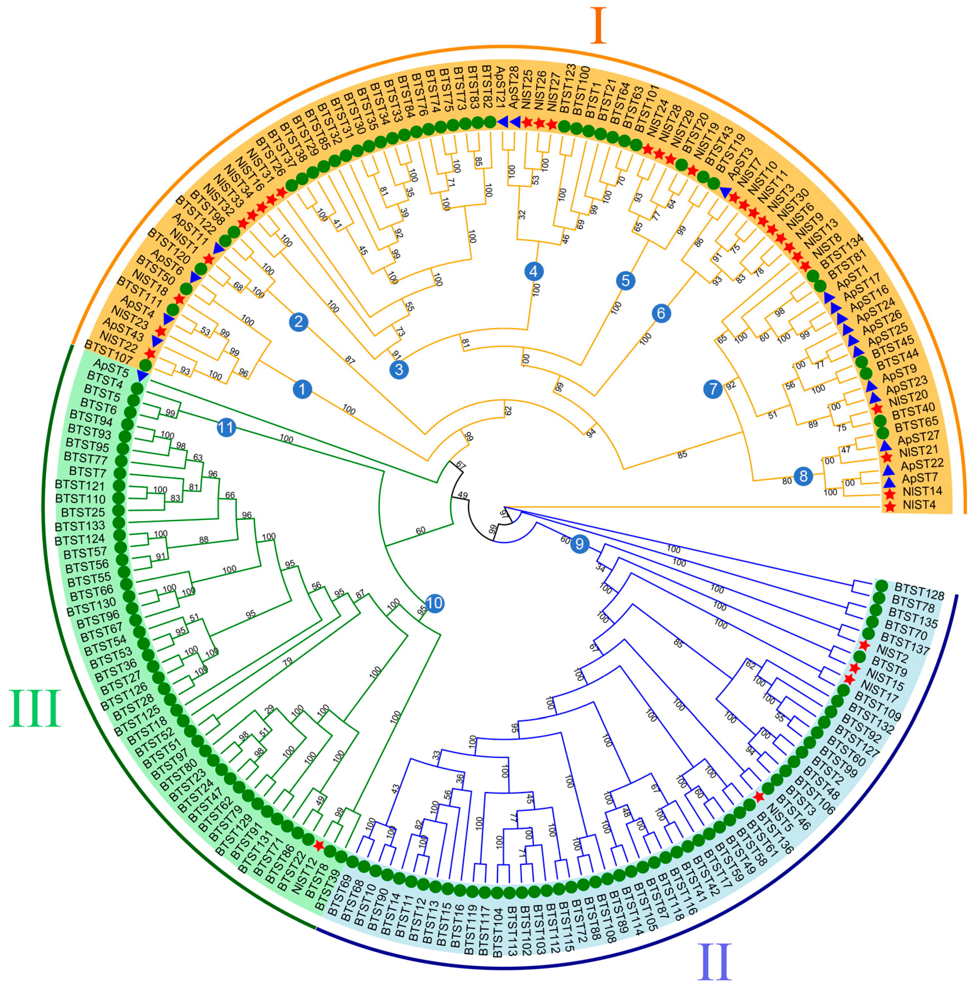 Insects 15 00509 g002