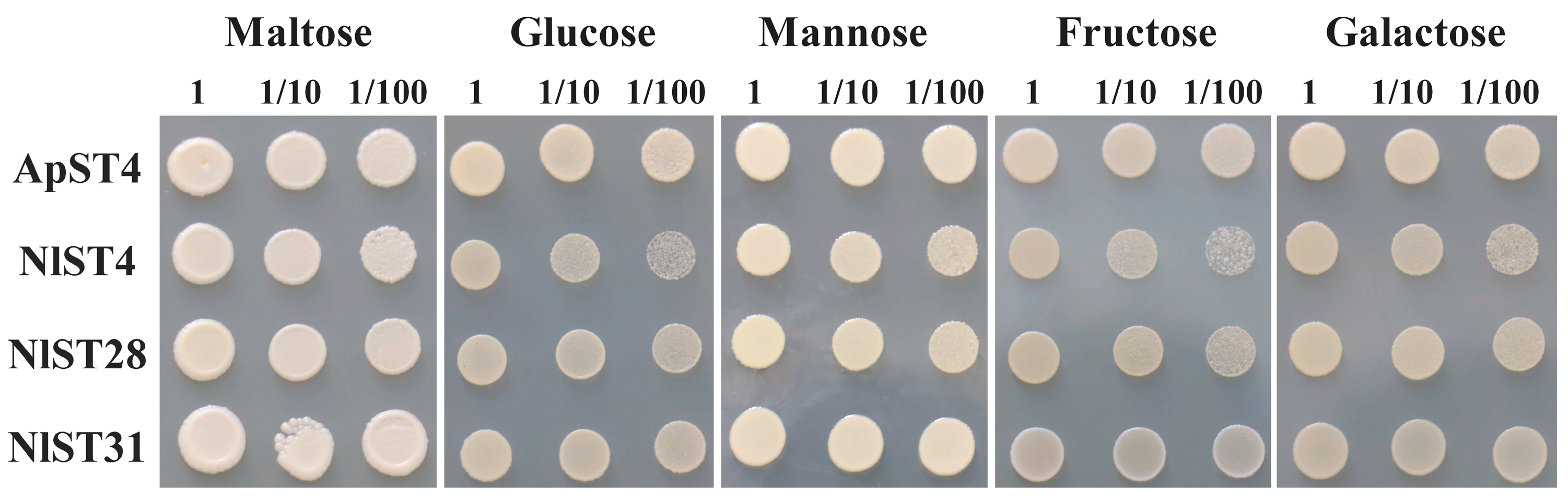 Insects 15 00509 g006