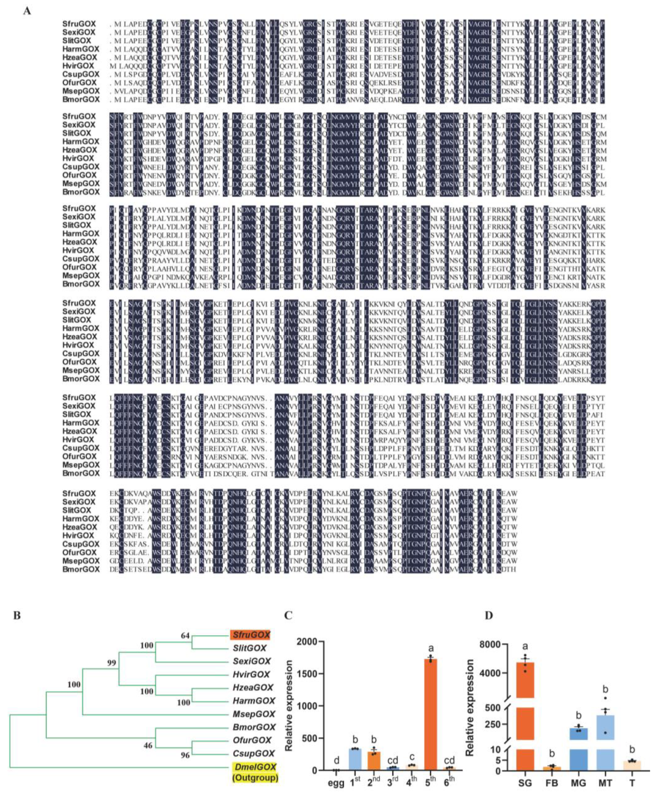 Insects 15 00511 g001