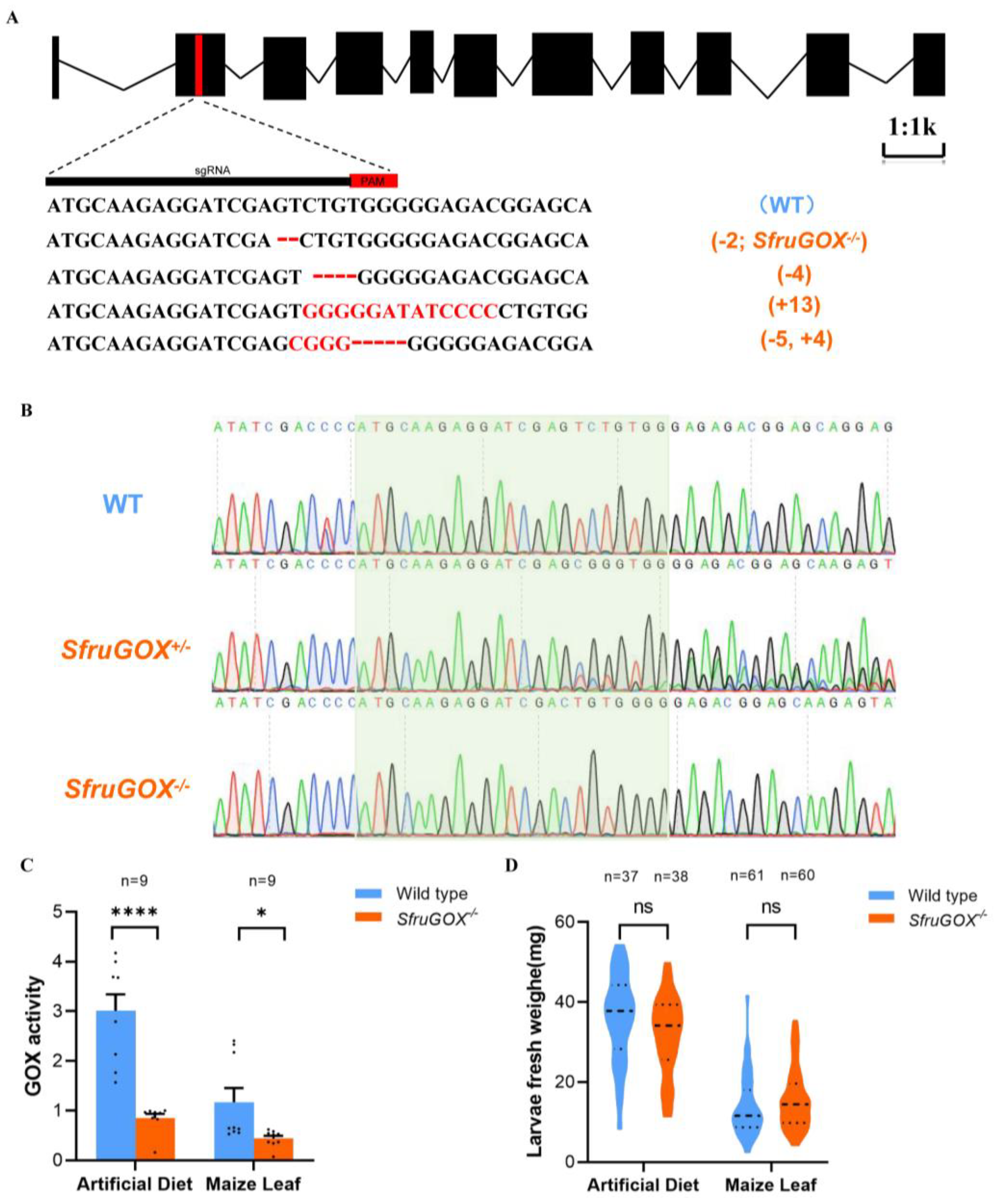 Insects 15 00511 g002