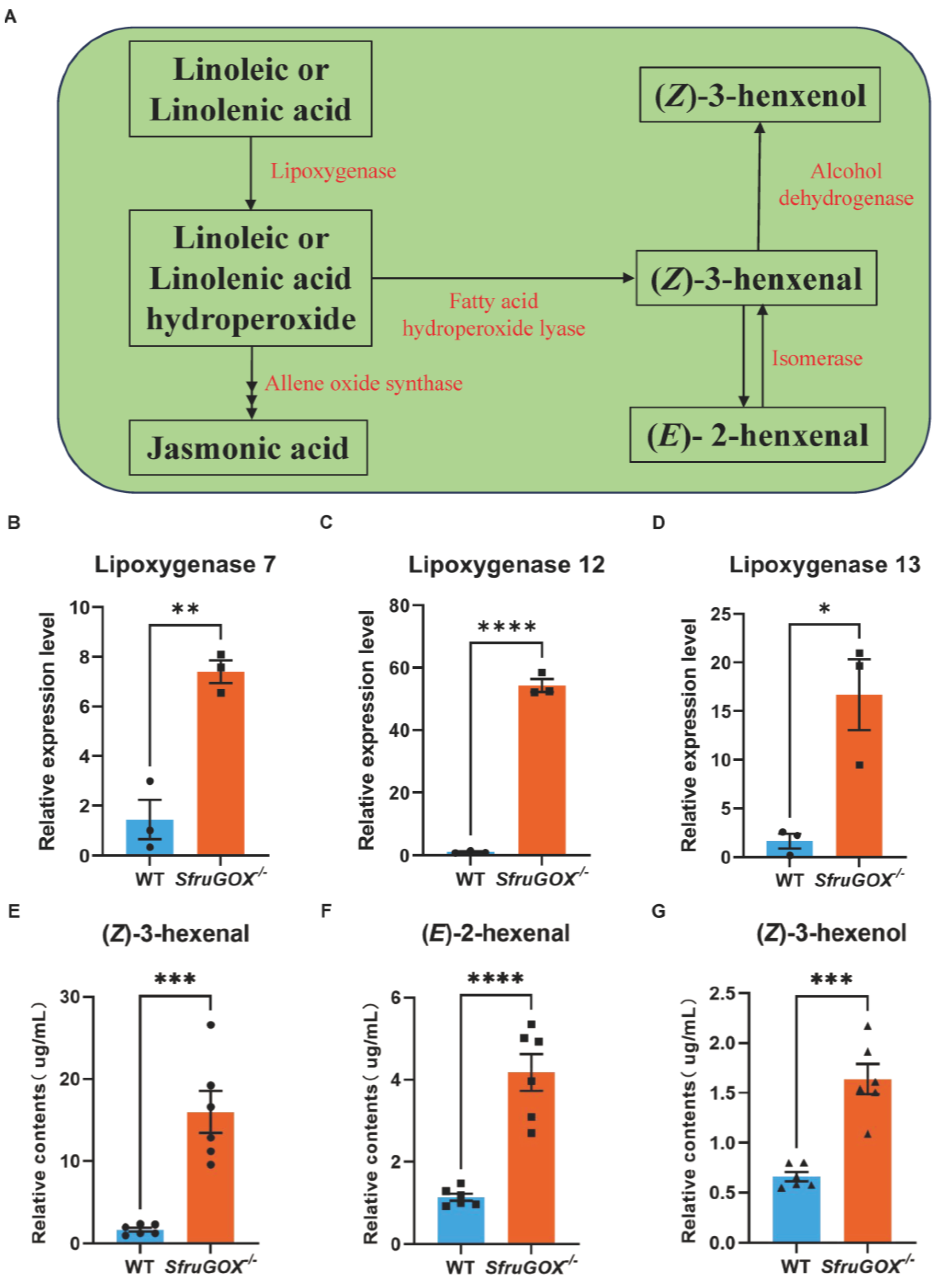Insects 15 00511 g003
