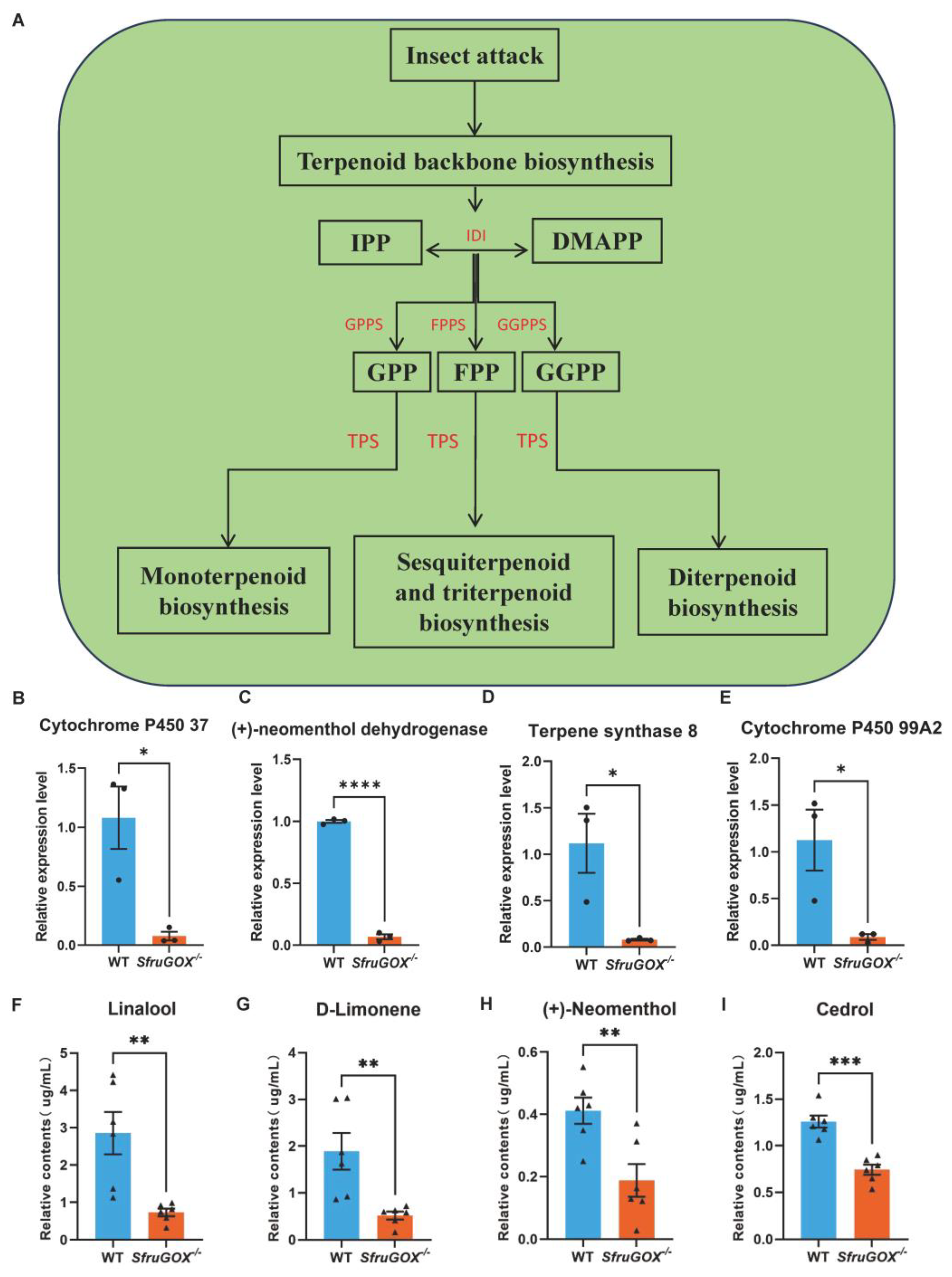 Insects 15 00511 g004