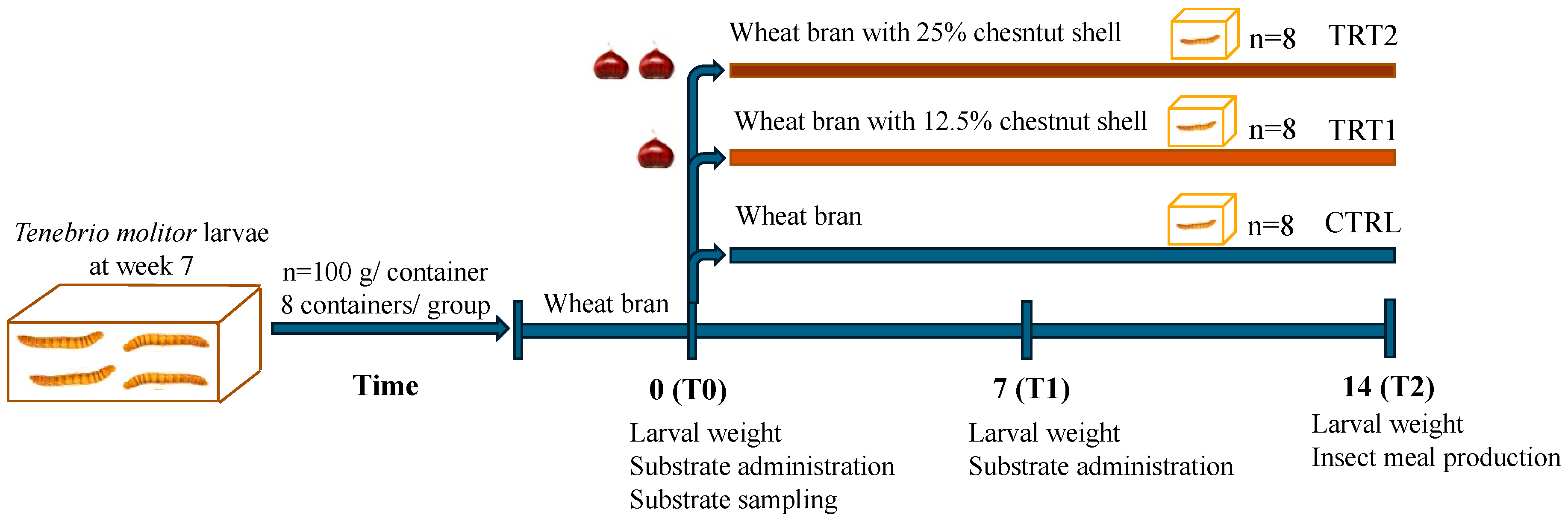 Insects 15 00512 g001