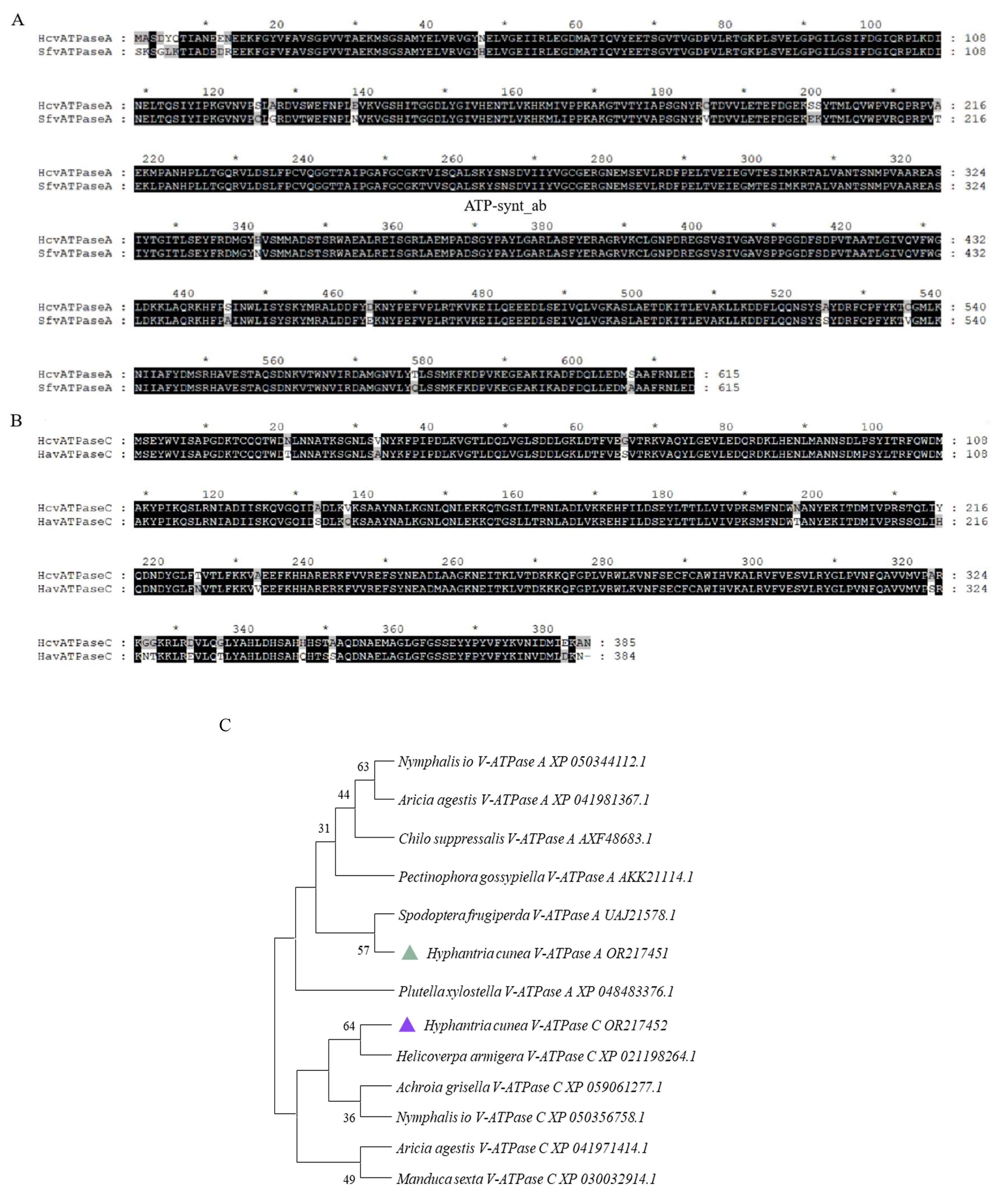 Insects 15 00515 g001