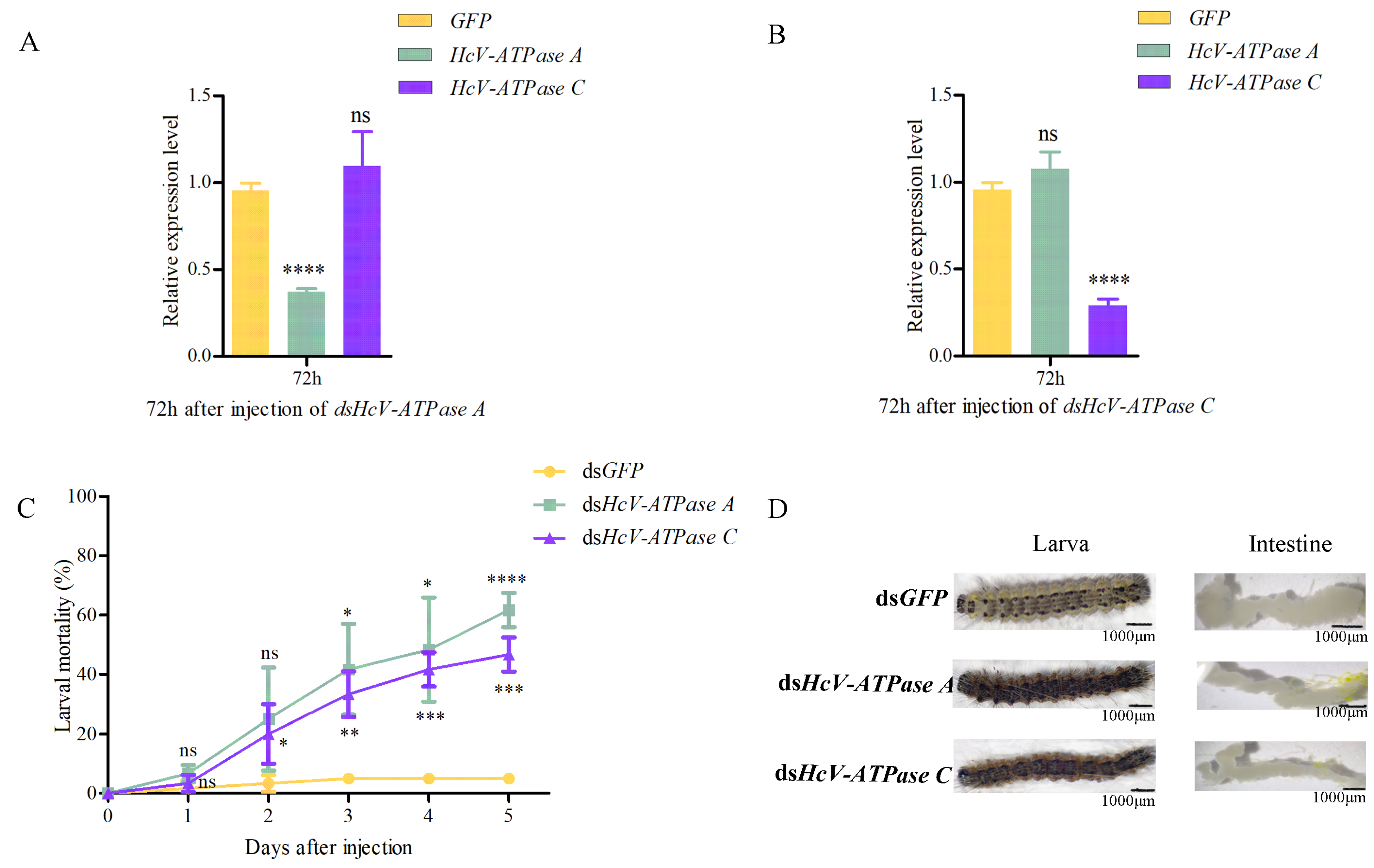 Insects 15 00515 g003