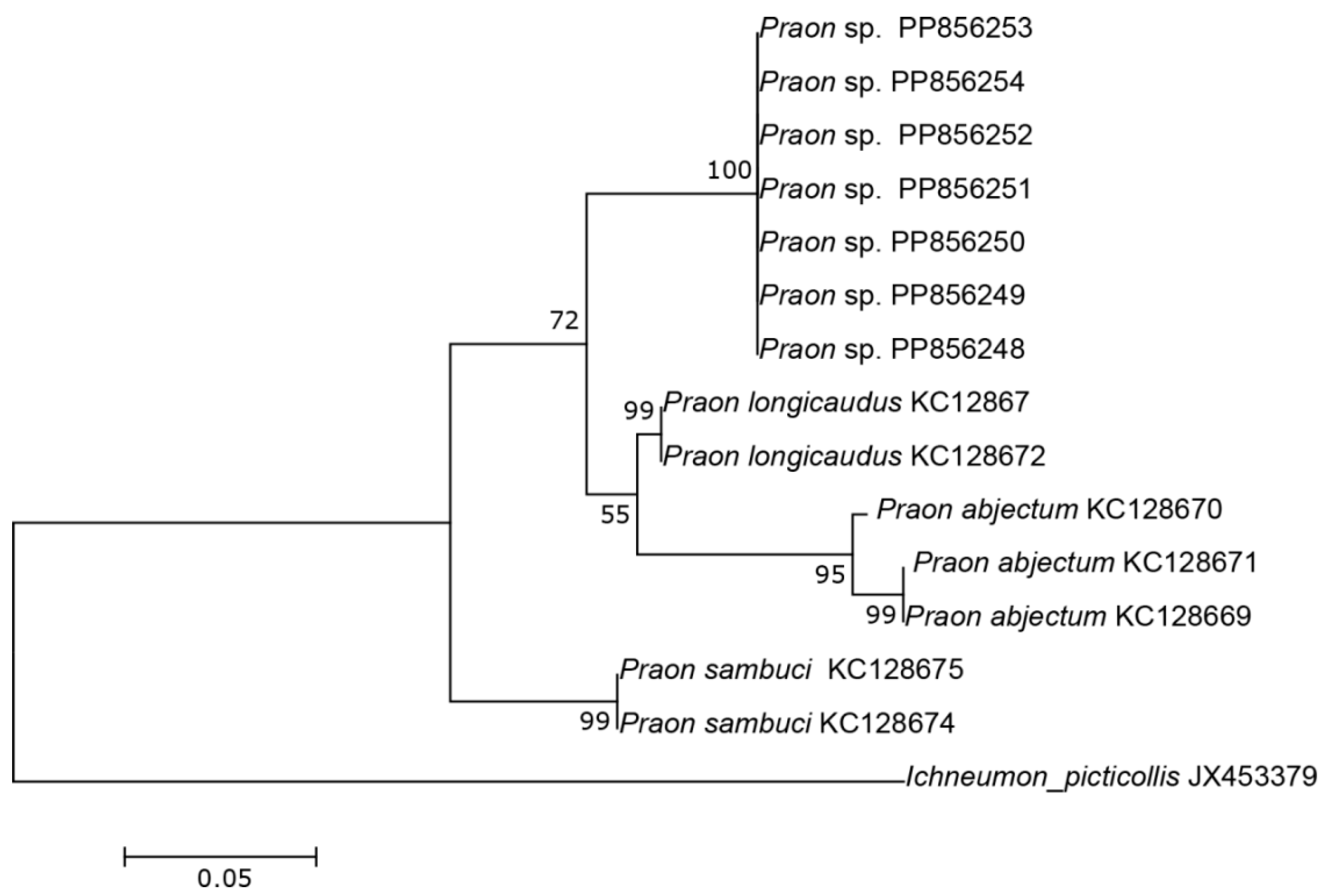 Insects 15 00518 g003