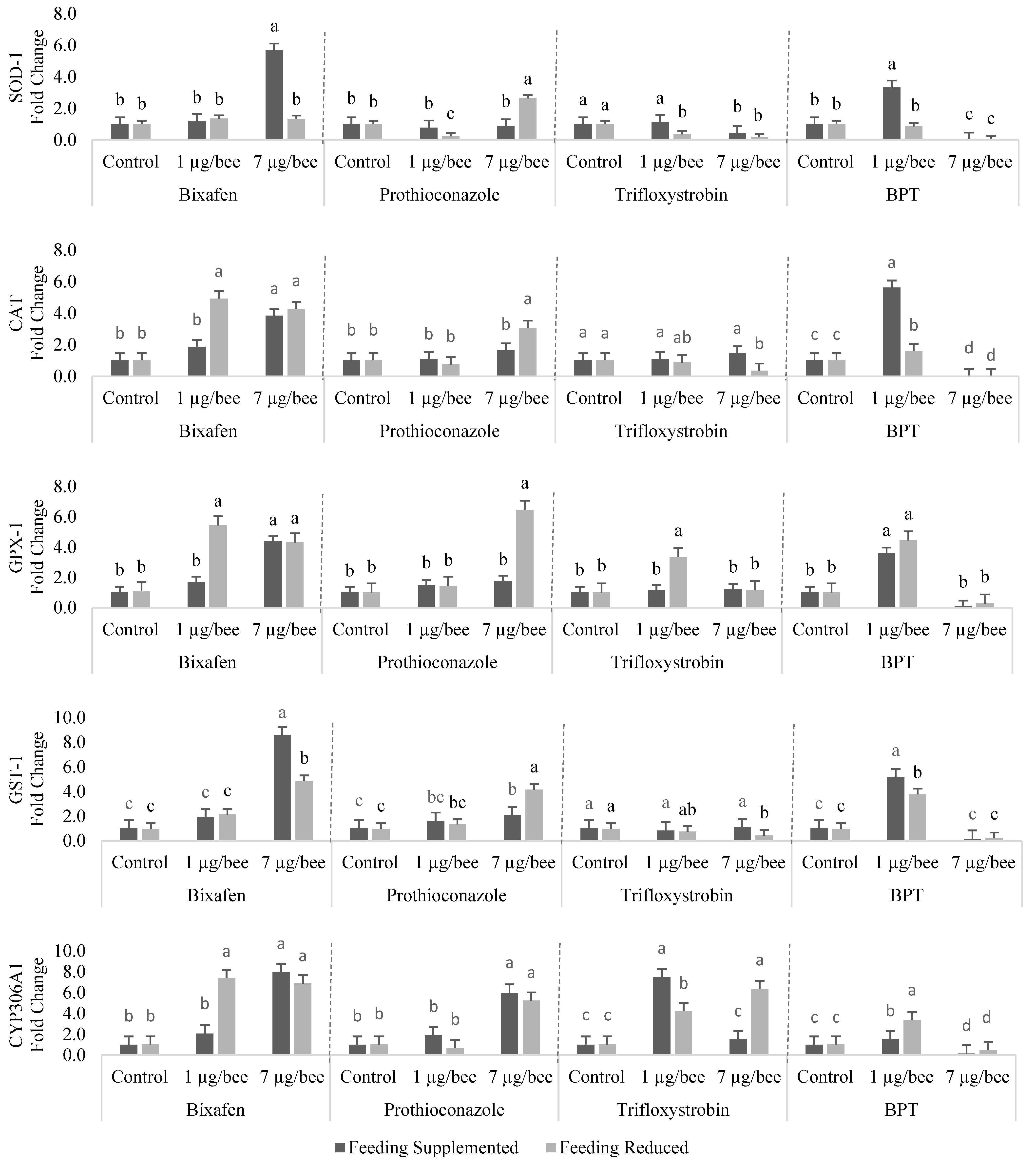 Insects 15 00523 g001