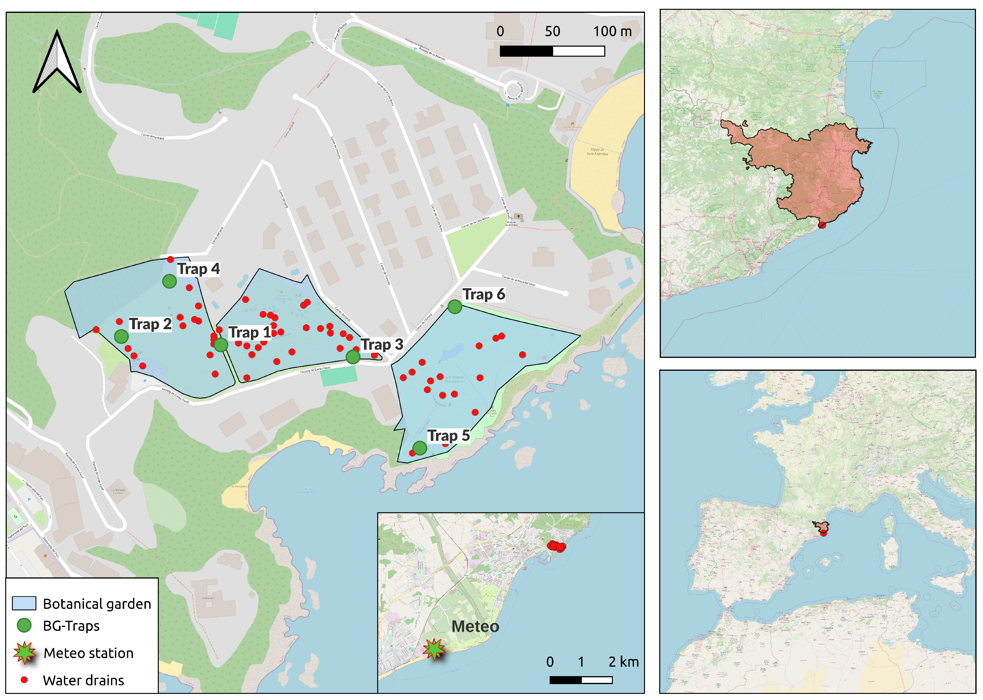 Insects 15 00527 g001