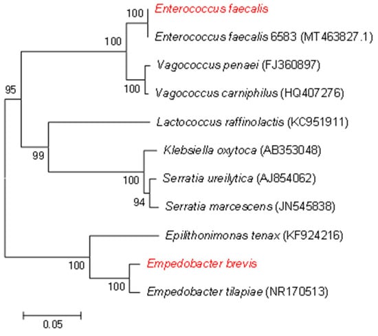 Insects 15 00530 g0a4