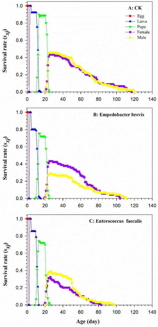Insects 15 00530 g0a5