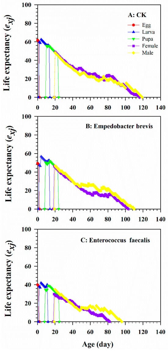 Insects 15 00530 g0a6