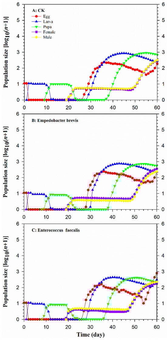 Insects 15 00530 g0a8