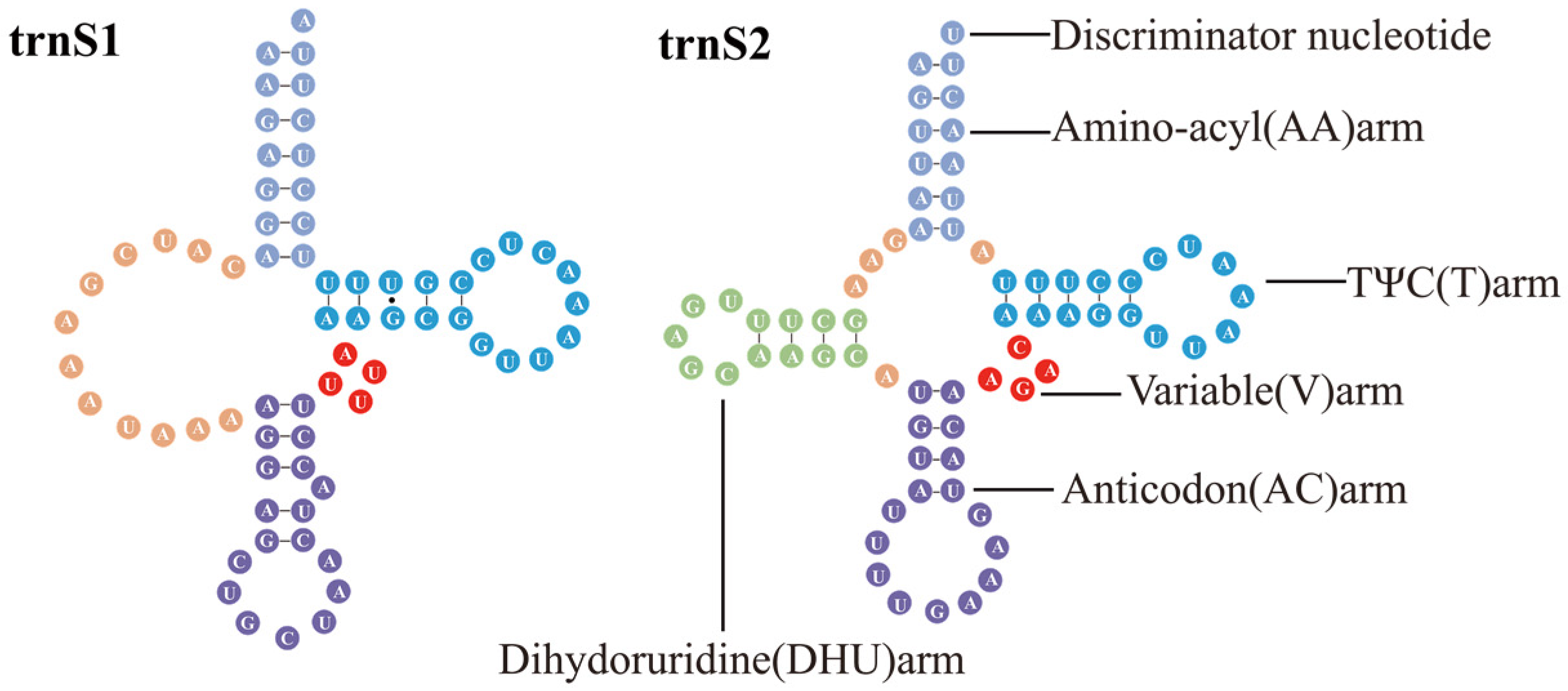 Insects 15 00533 g003