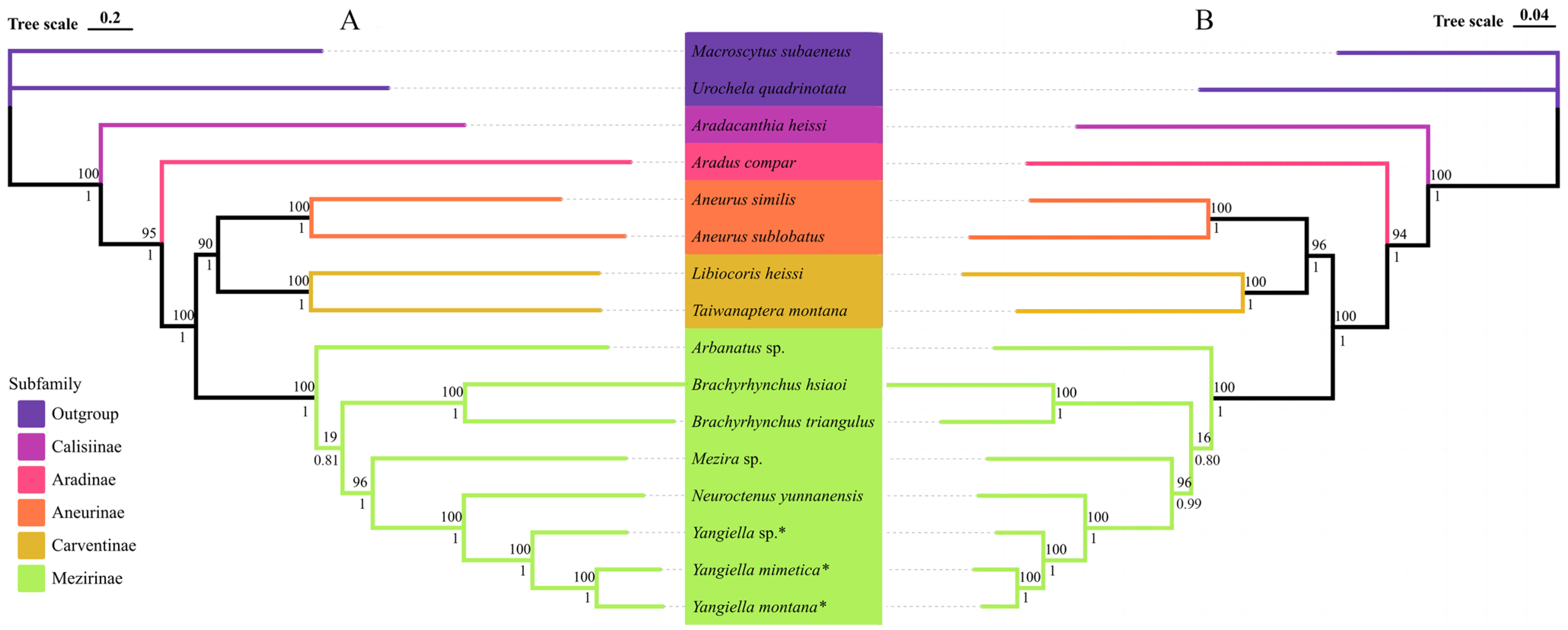Insects 15 00533 g009