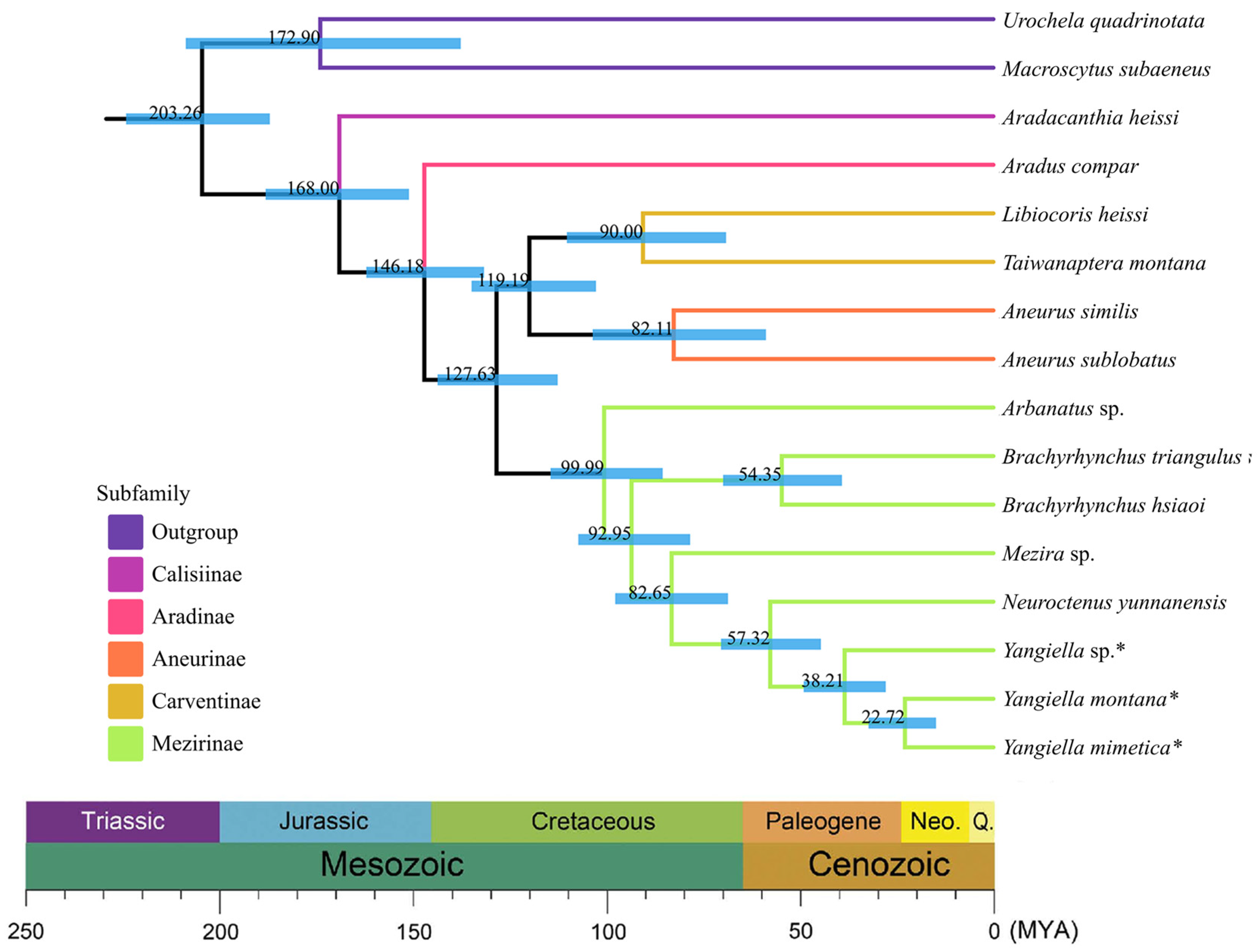 Insects 15 00533 g010