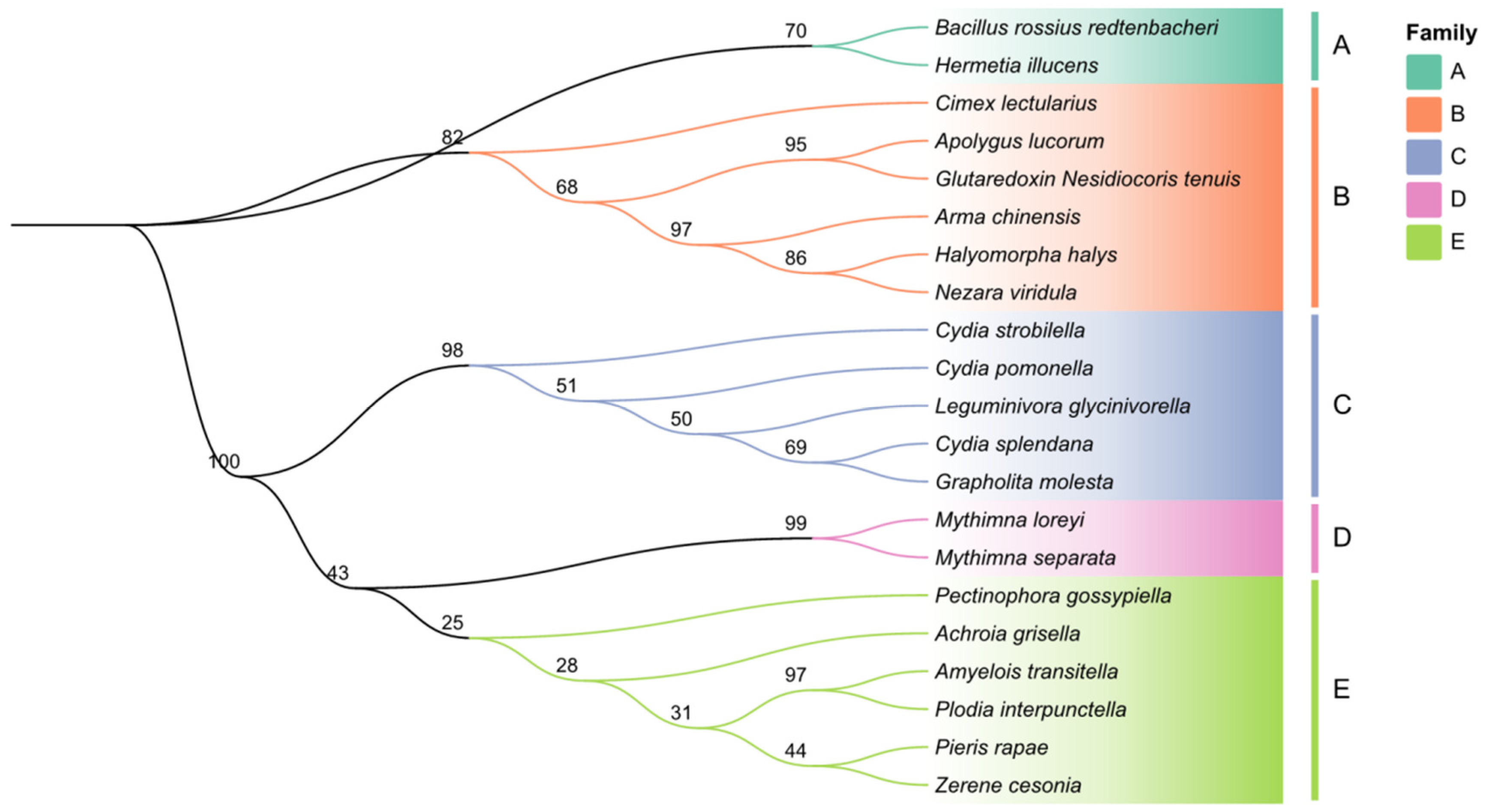 Insects 15 00537 g002