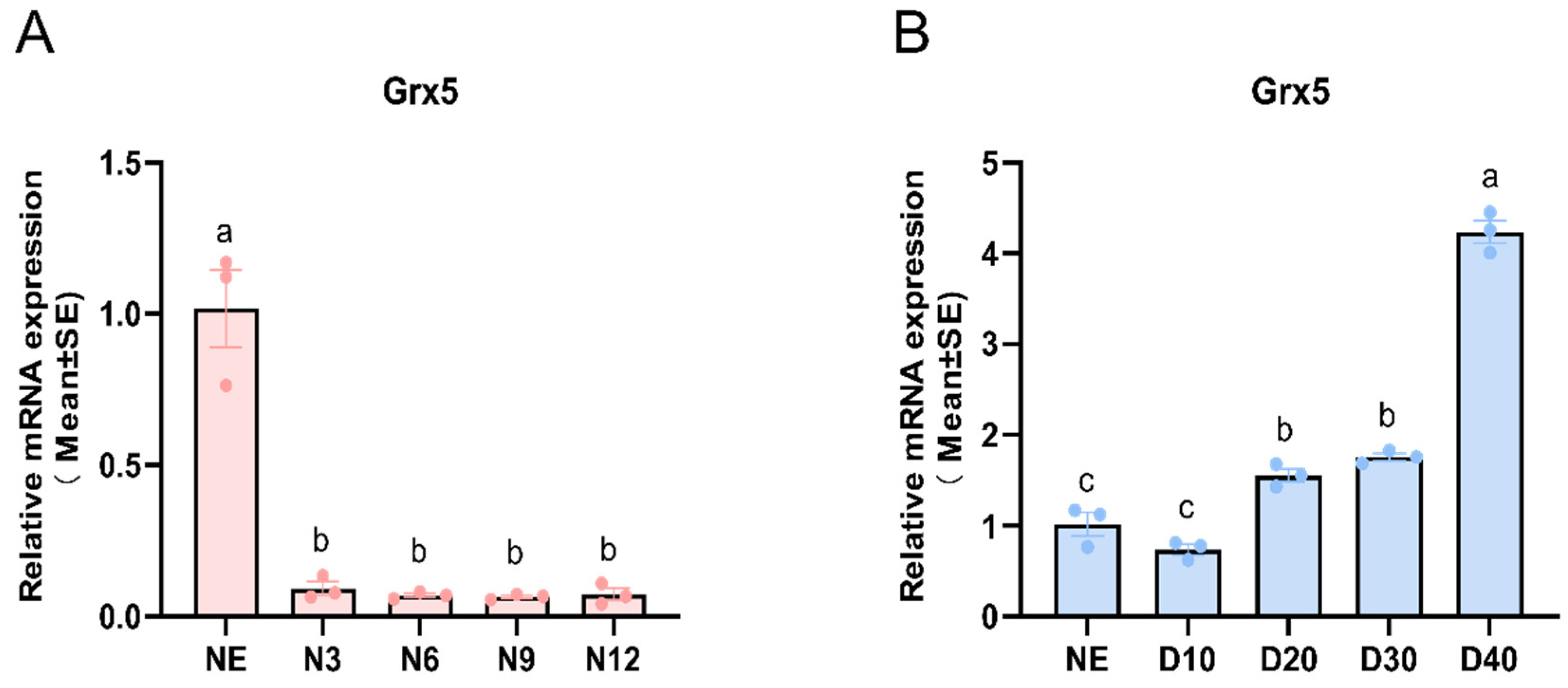Insects 15 00537 g003
