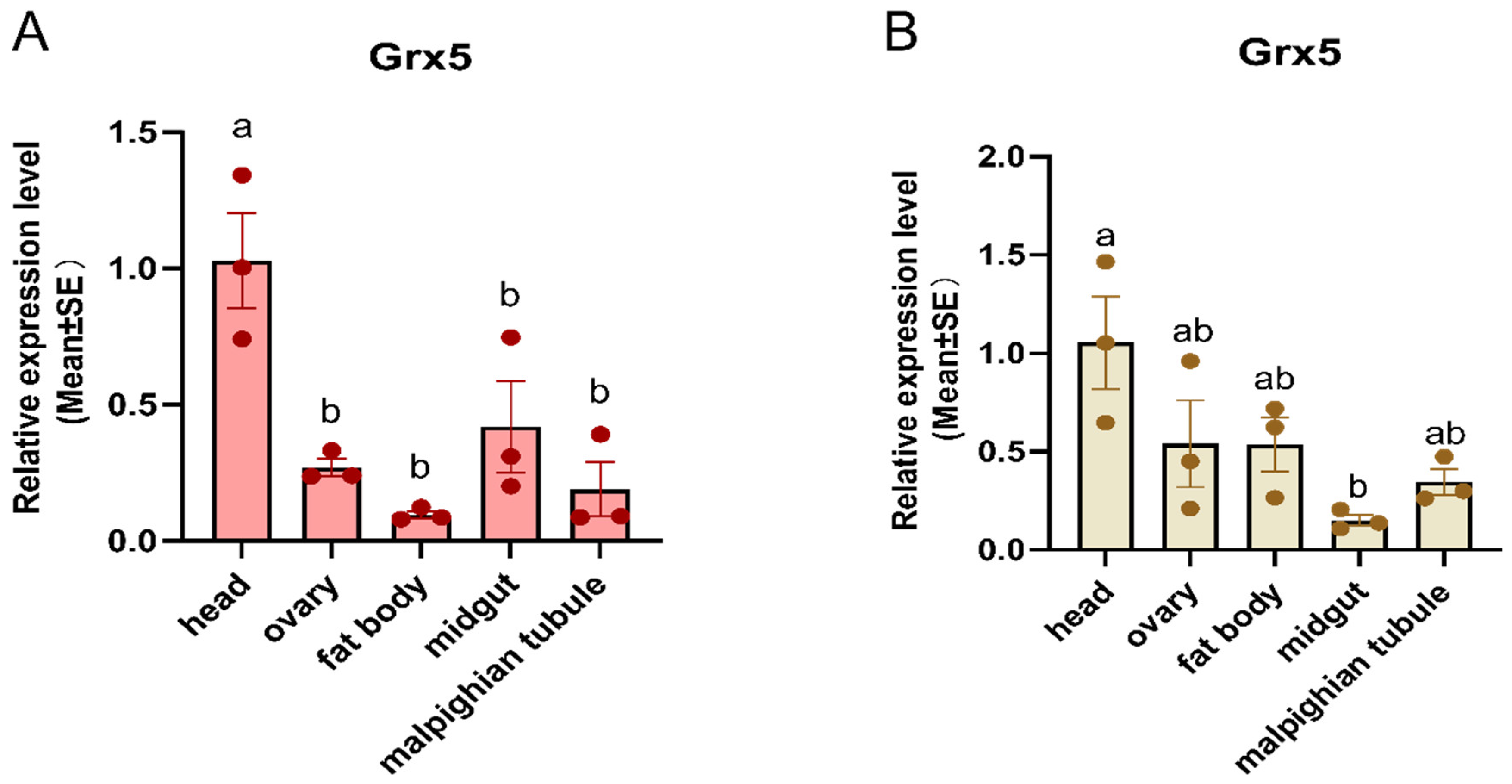 Insects 15 00537 g004