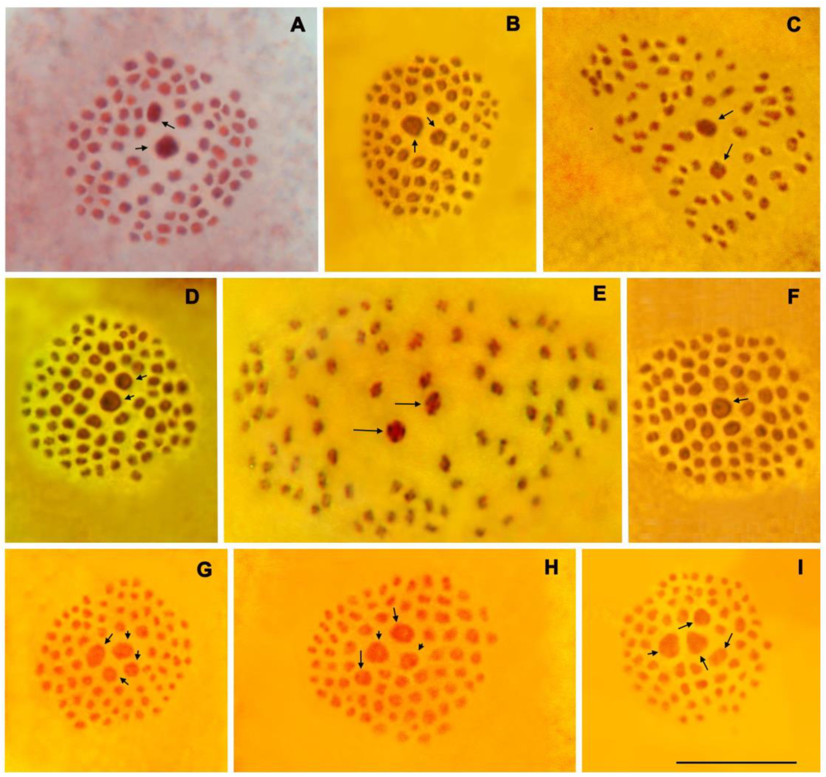 Insects 15 00545 g001