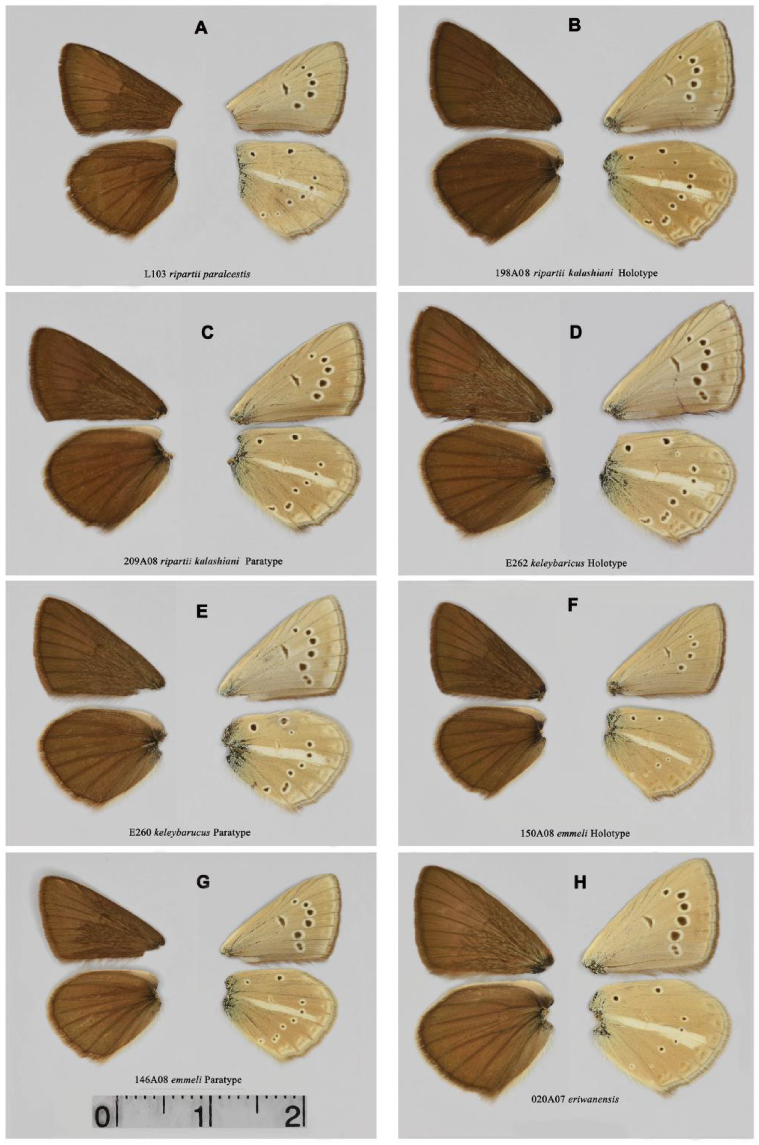 Insects 15 00545 g003