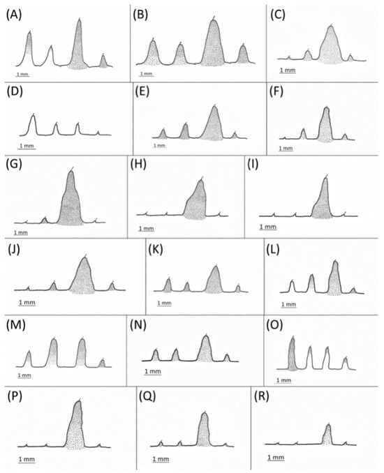 Insects 15 00553 g001