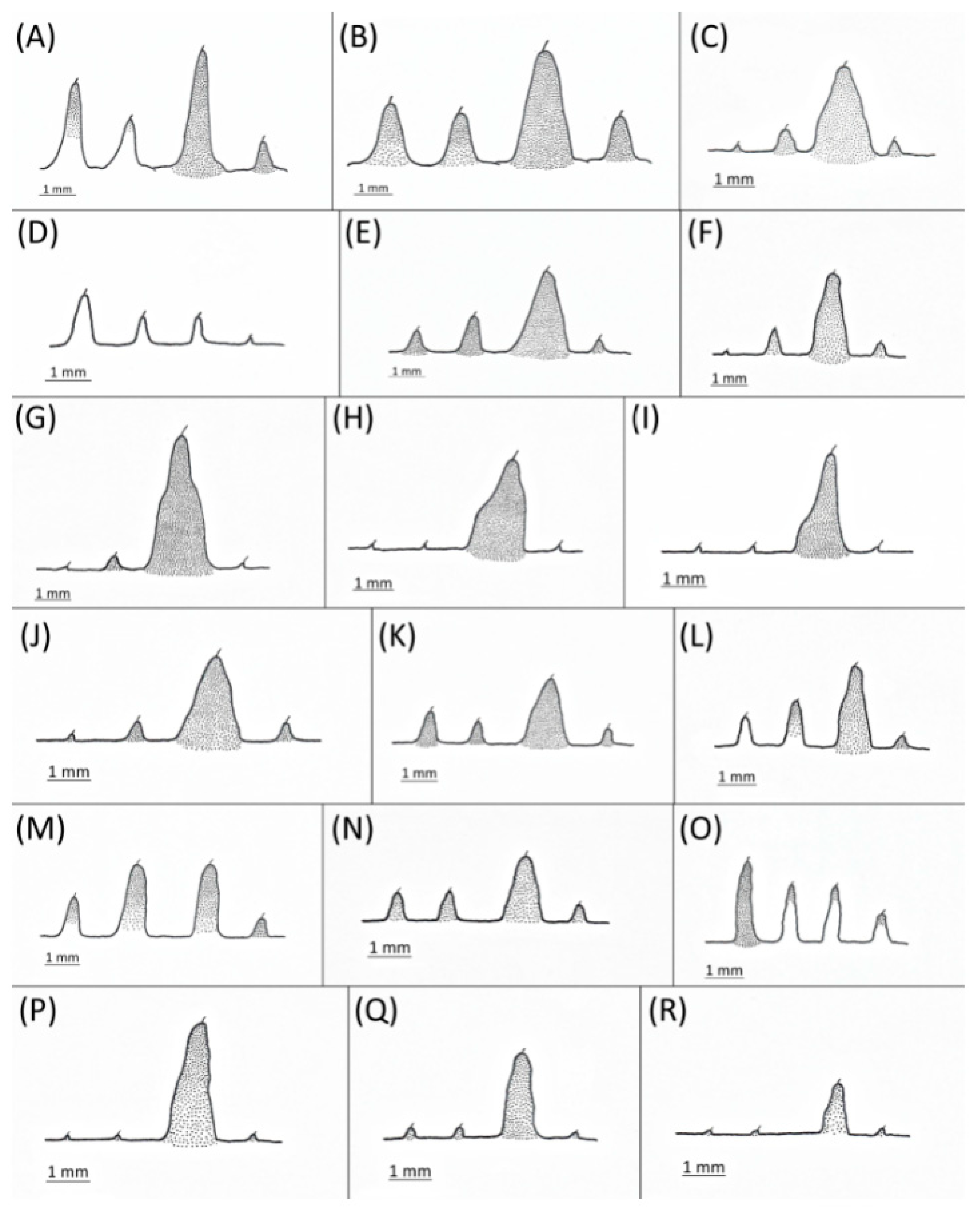 Insects 15 00553 g001 Insects 15 00553 g001