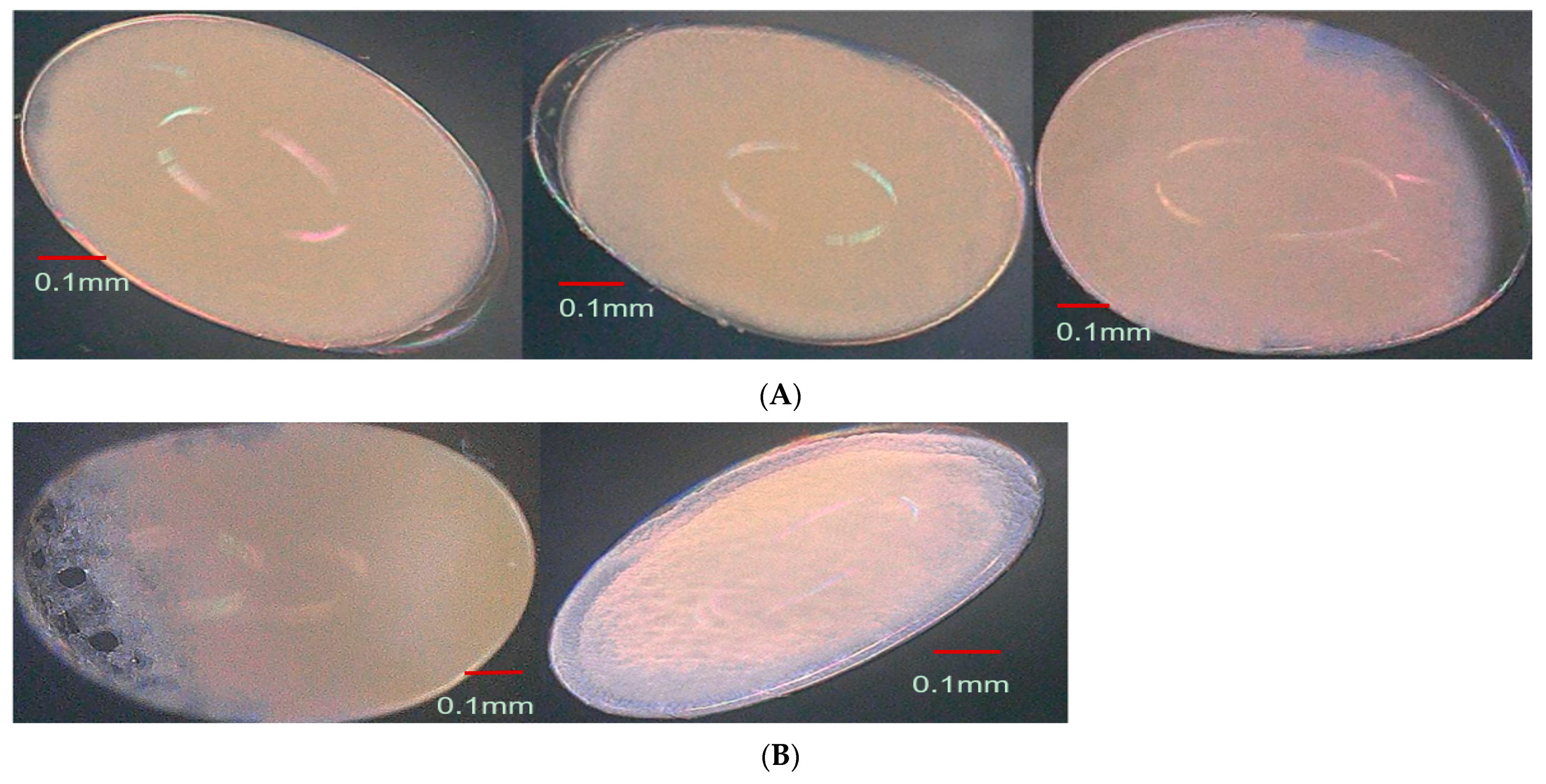 Insects 15 00562 g004a