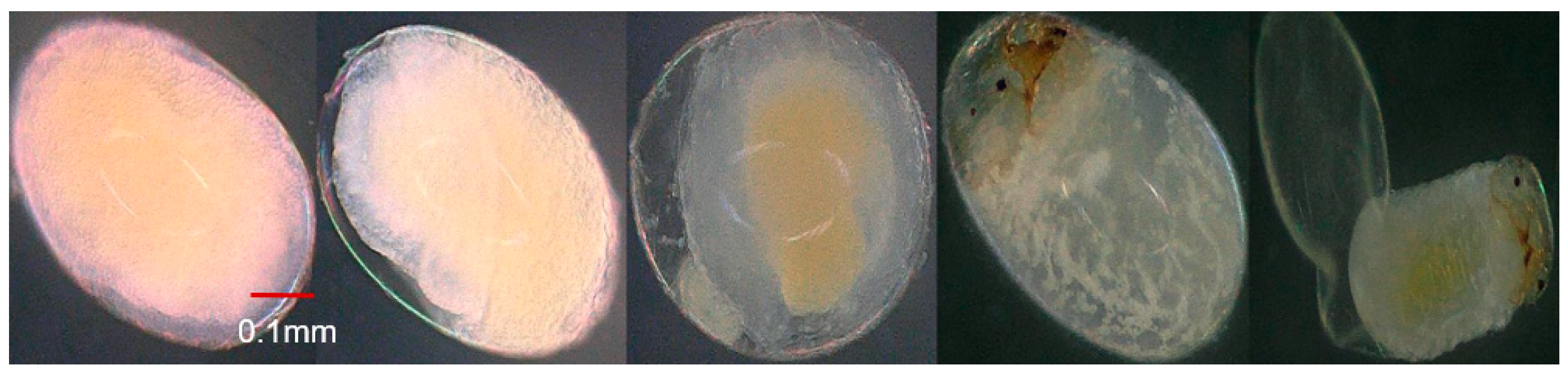 Insects 15 00562 g005