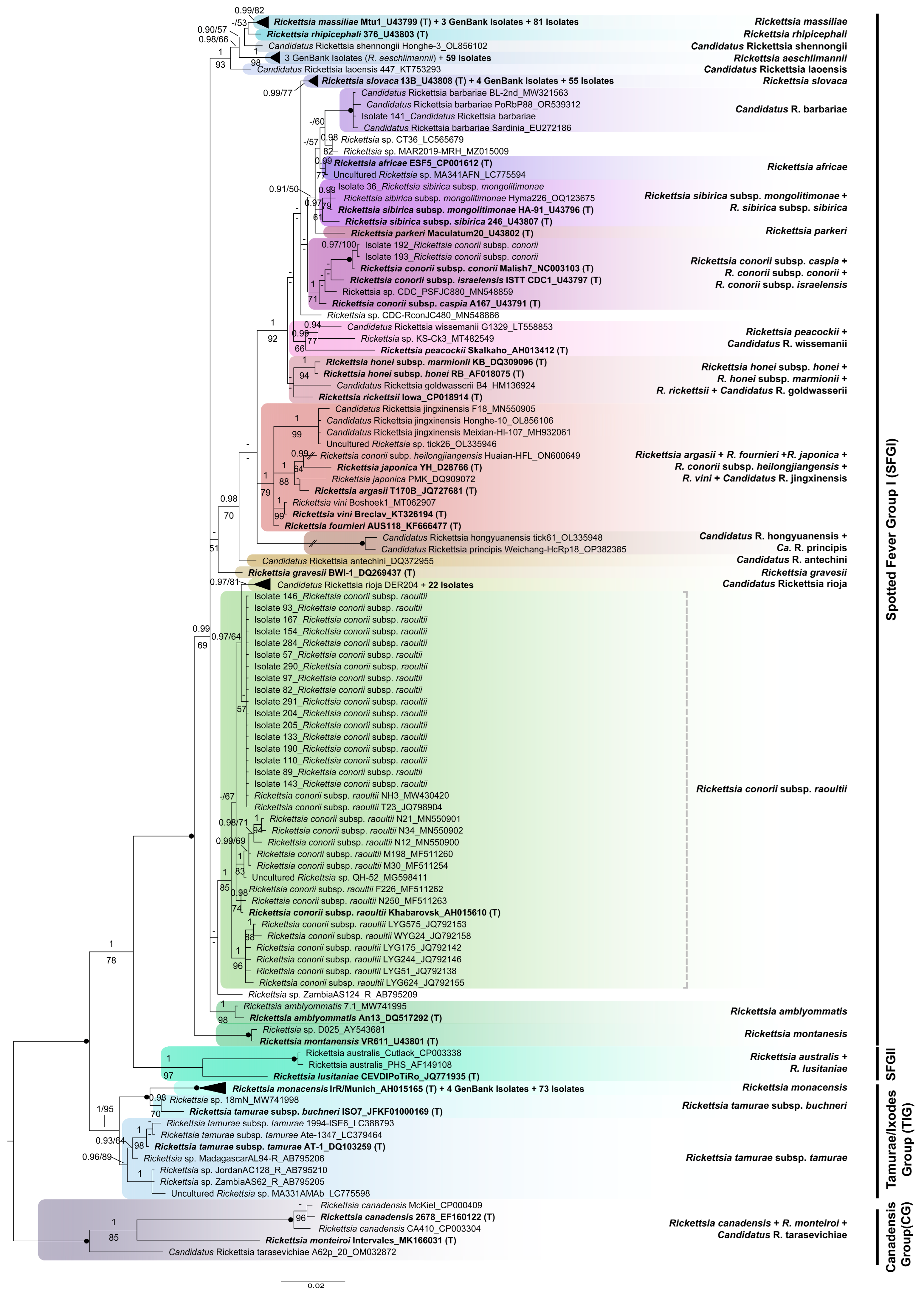 Insects 15 00571 g004