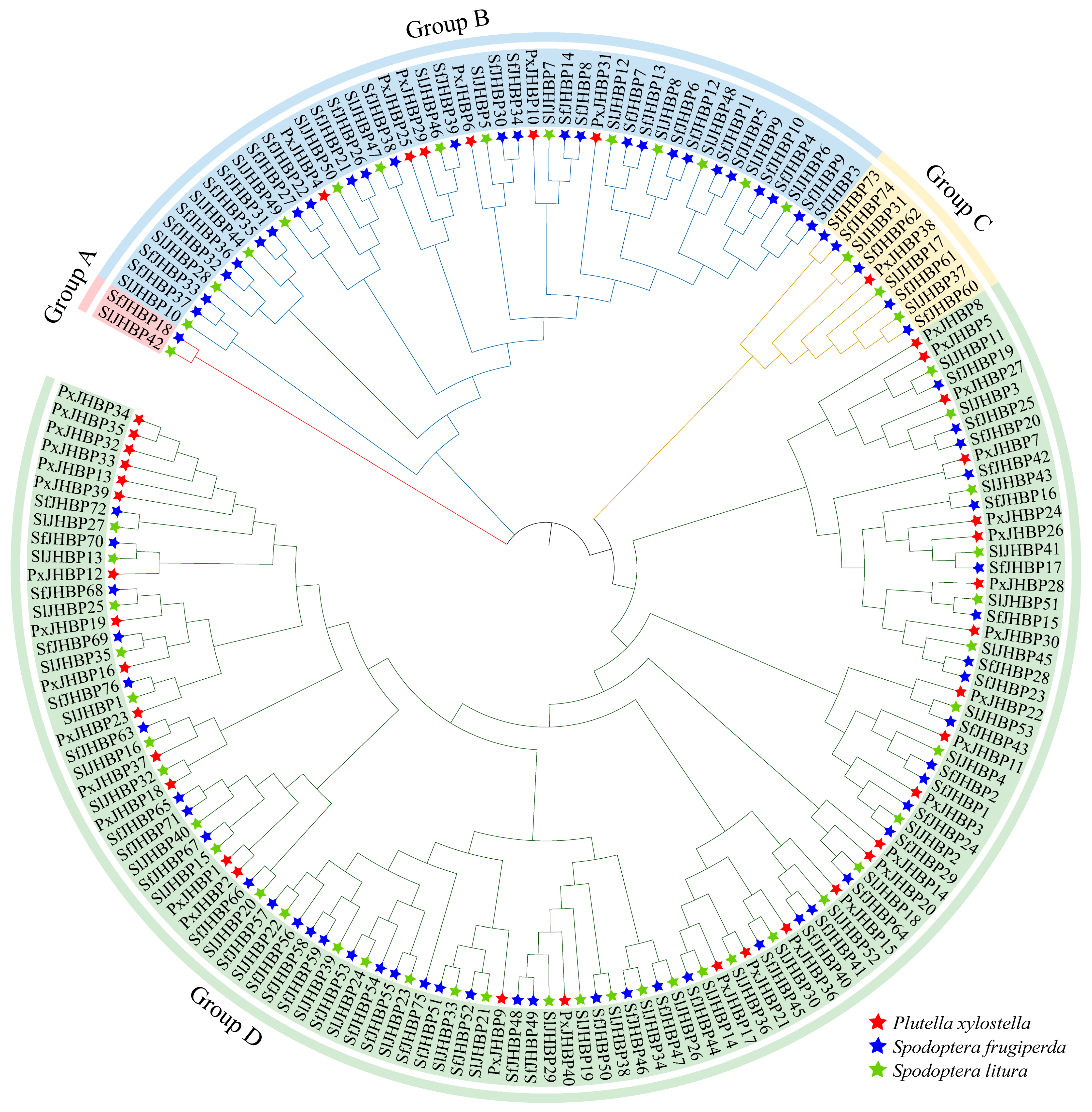 Insects 15 00573 g003
