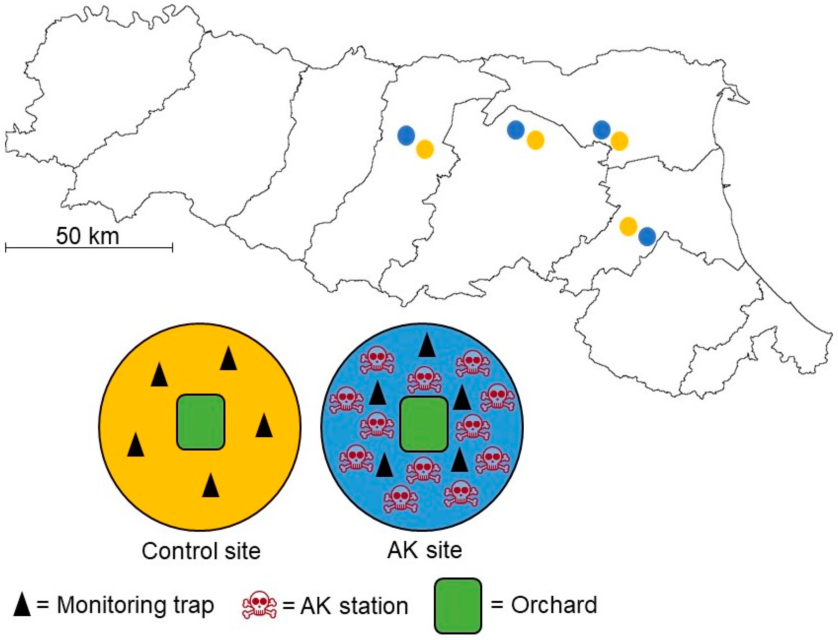 Insects 15 00577 g001