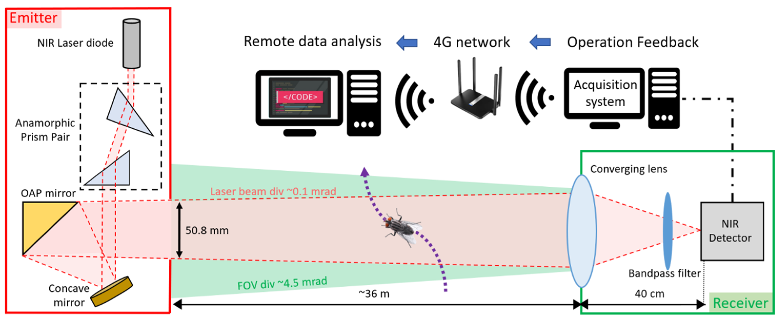 Insects 15 00584 g001