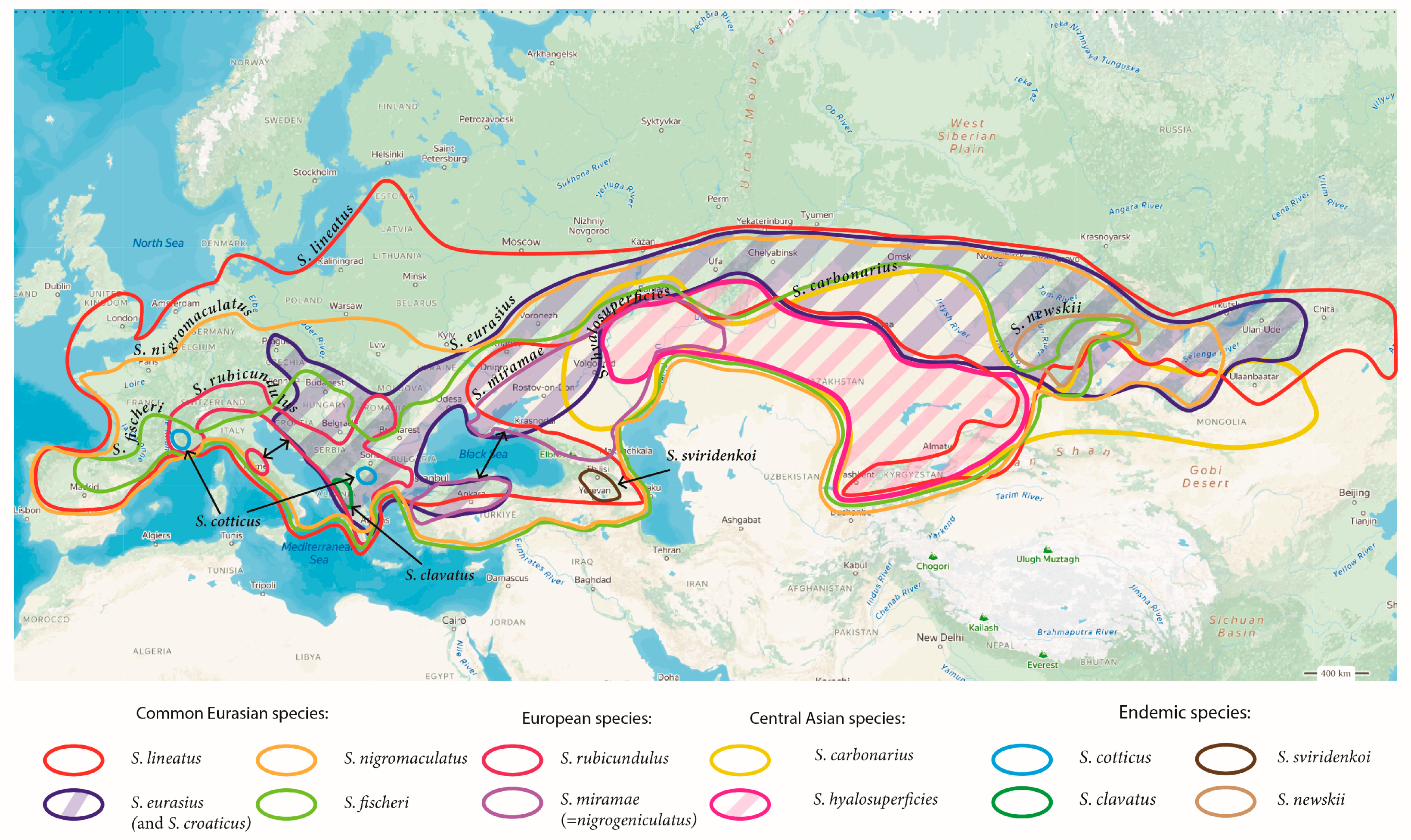 Insects 15 00592 g005