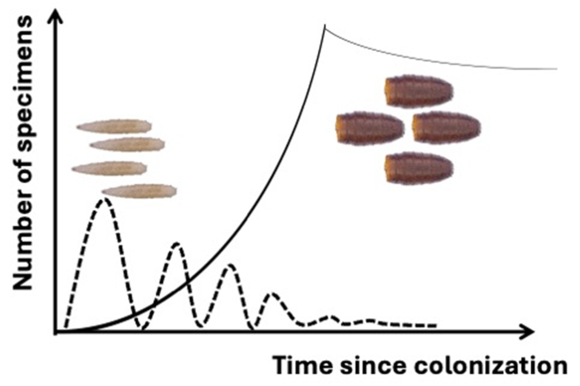 Insects 15 00599 g001