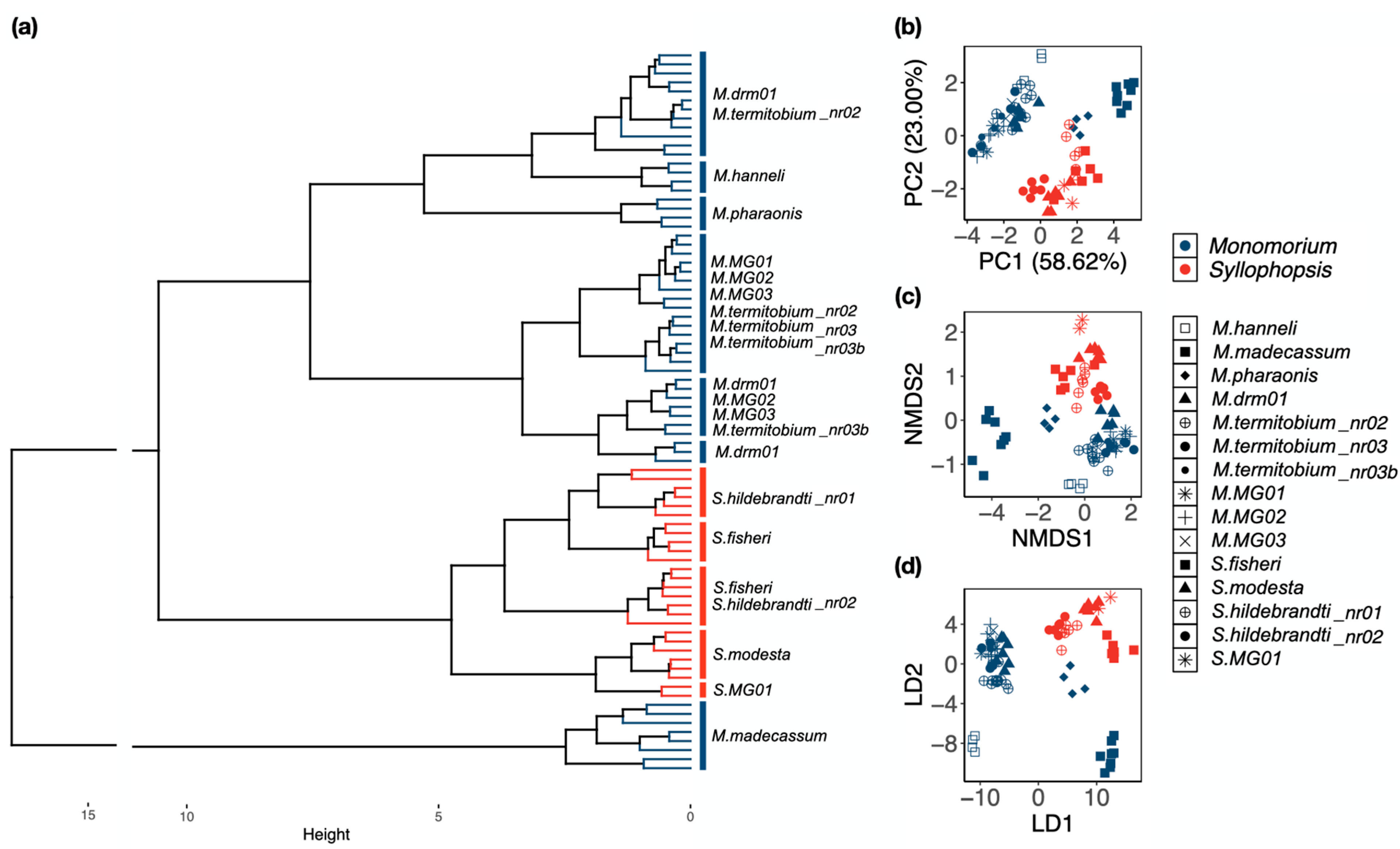 Insects 15 00605 g004