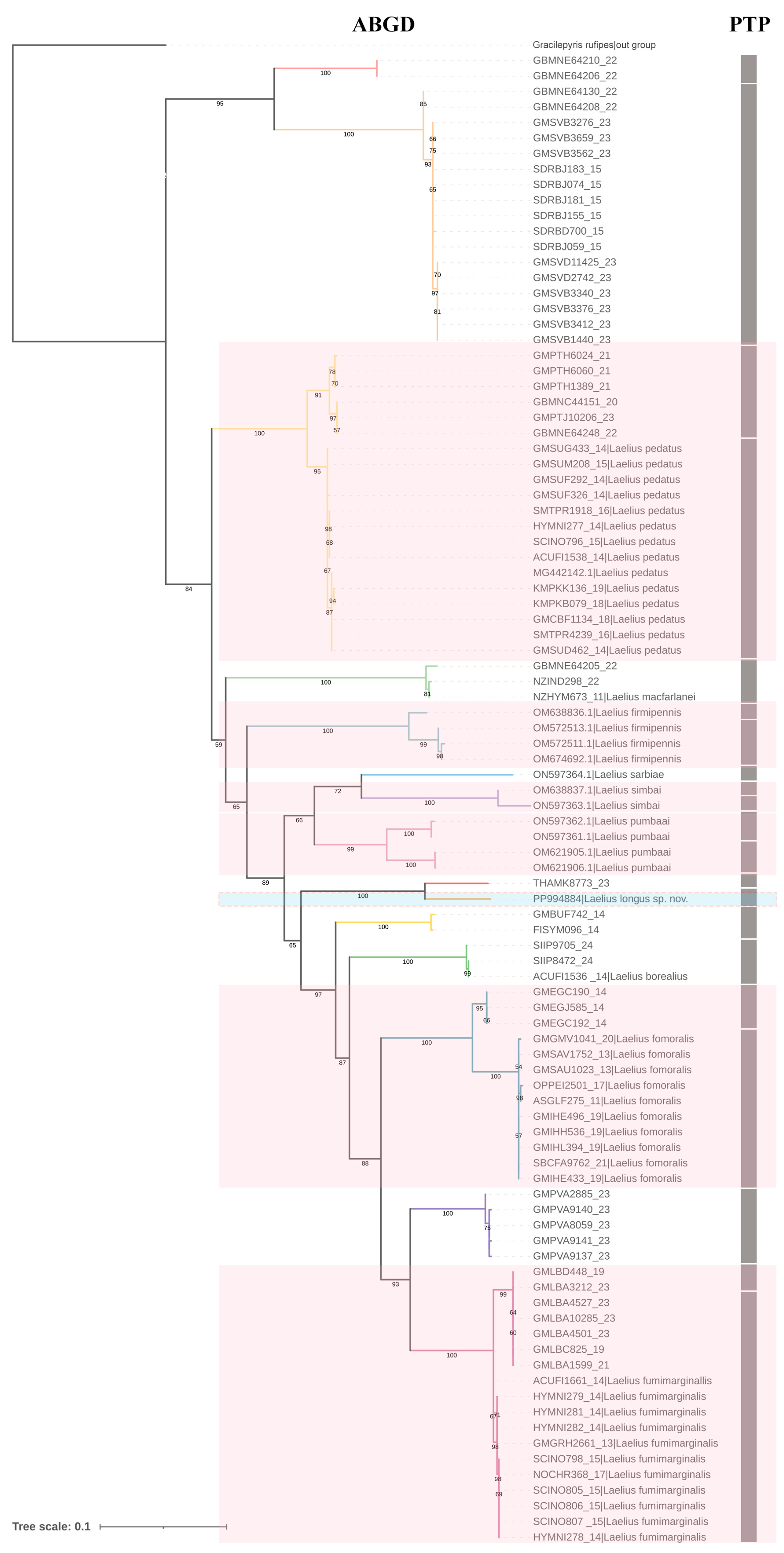 Insects 15 00627 g001